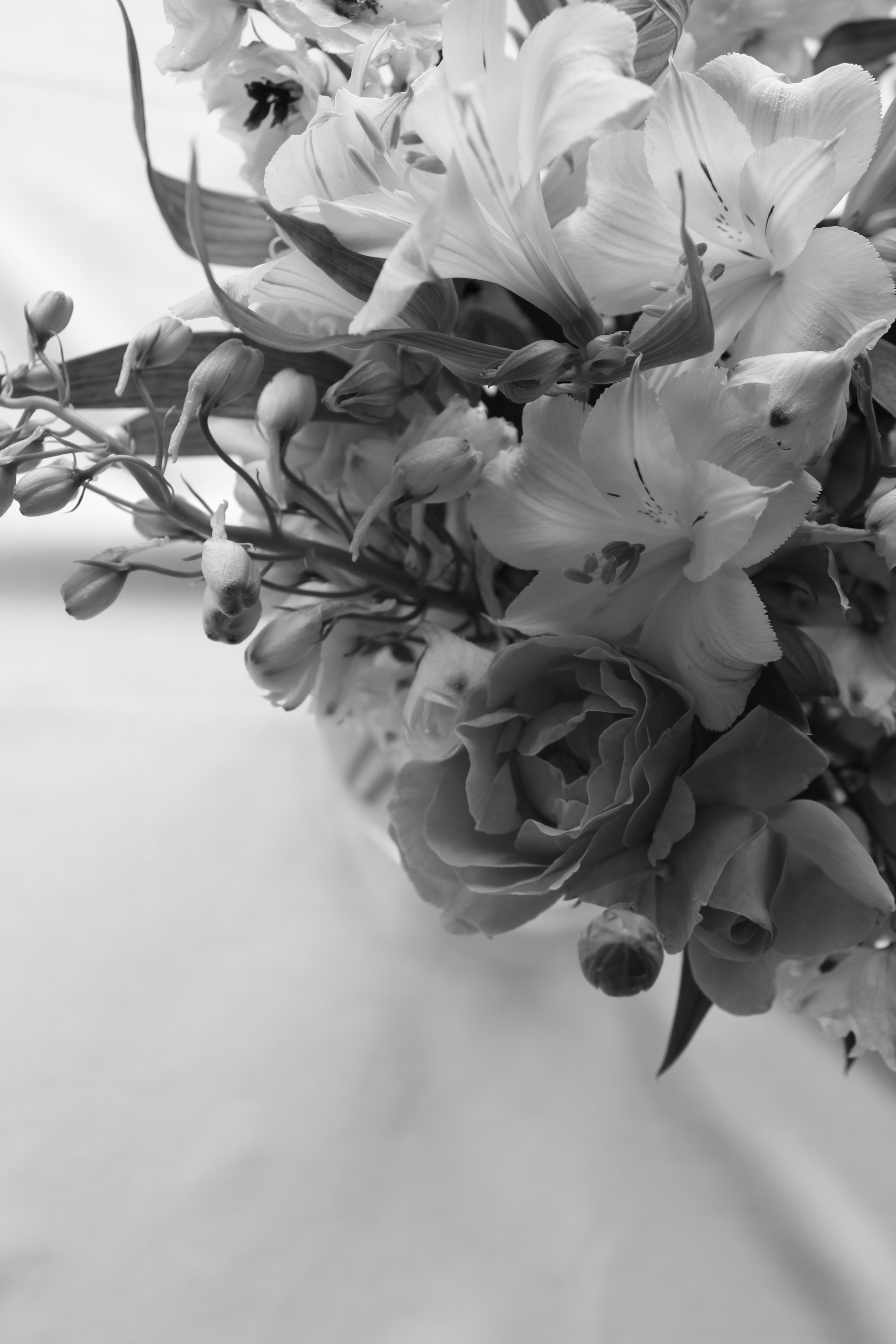 Photo by alys_skowron