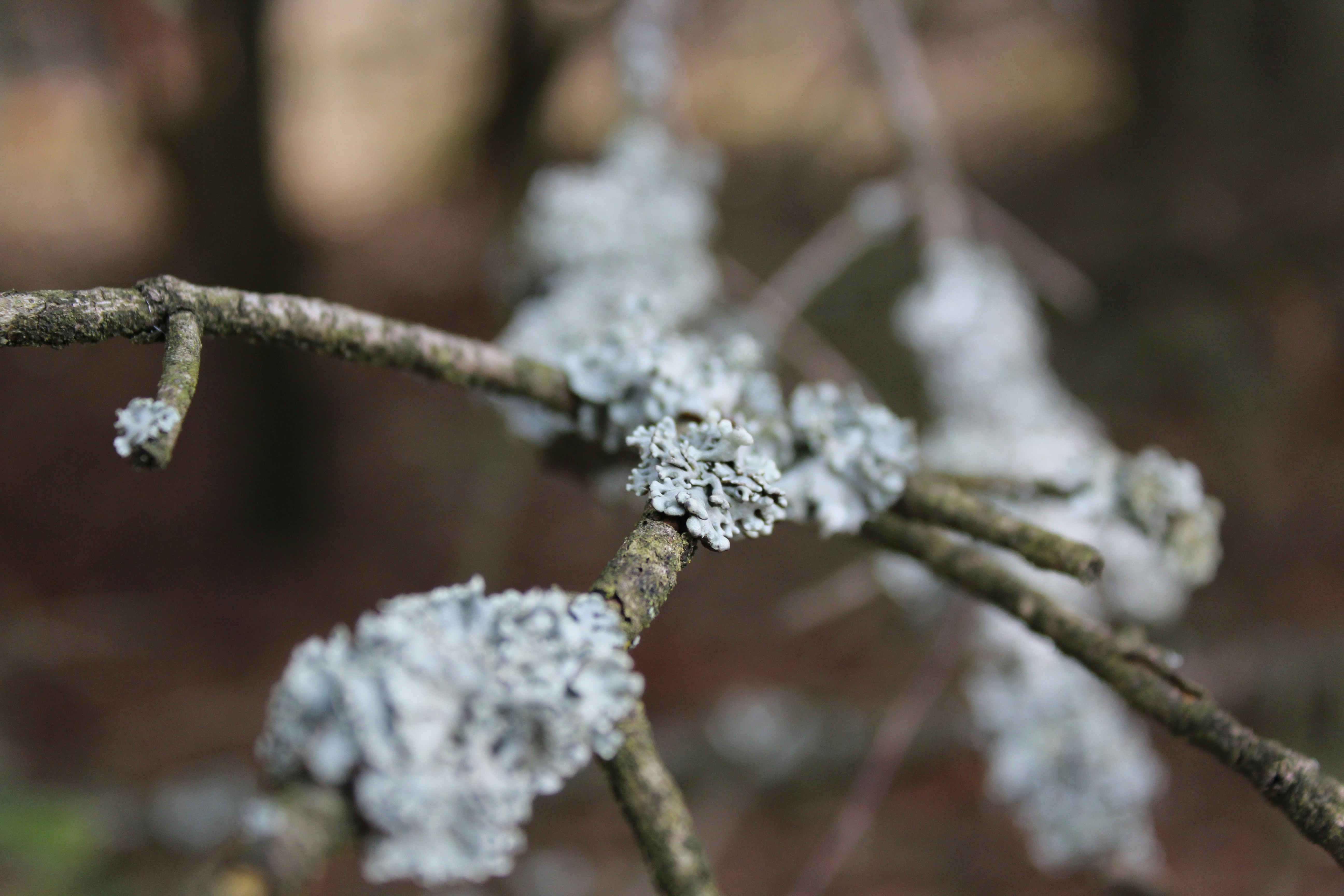 Photo by alys_skowron