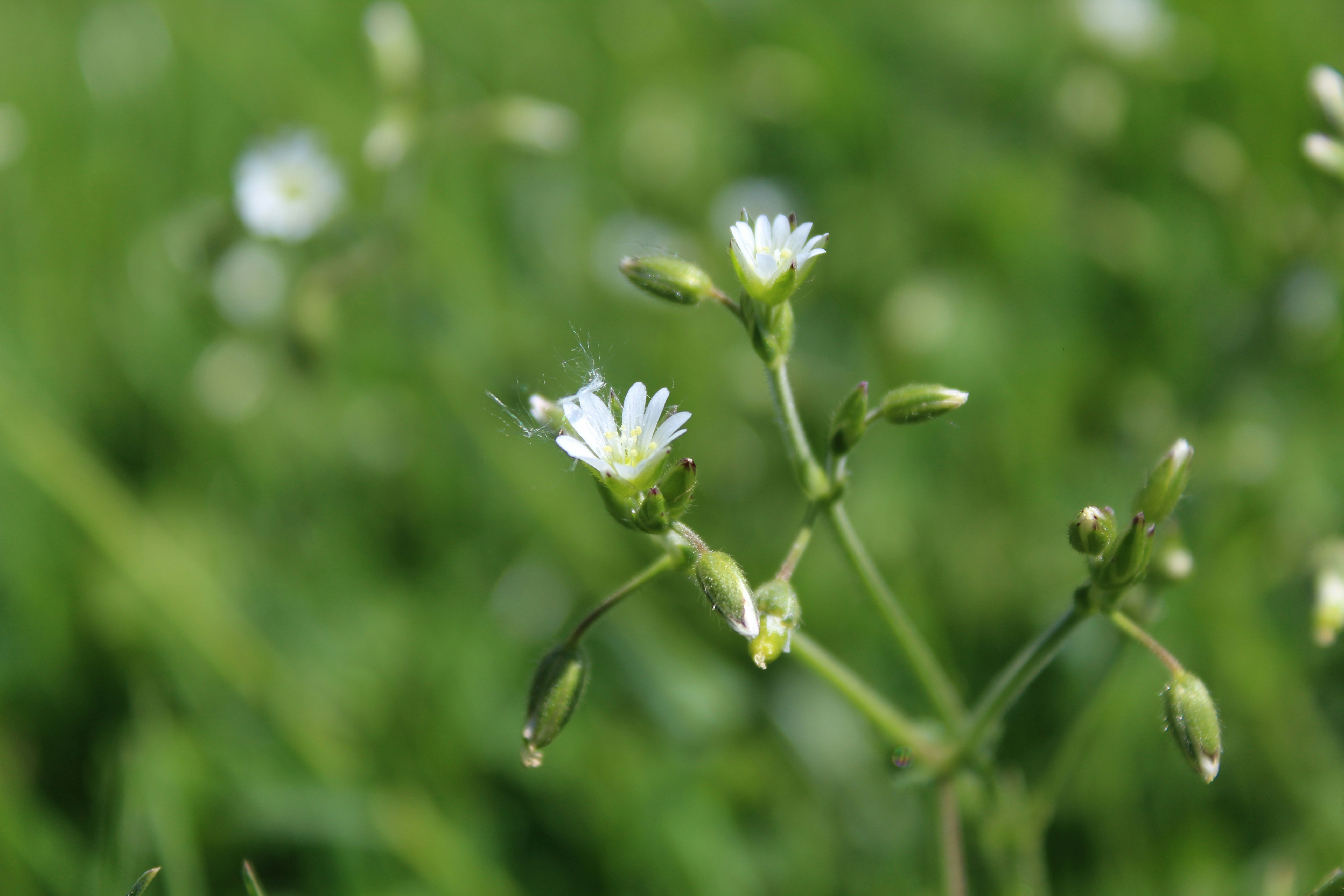 Photo by alys_skowron