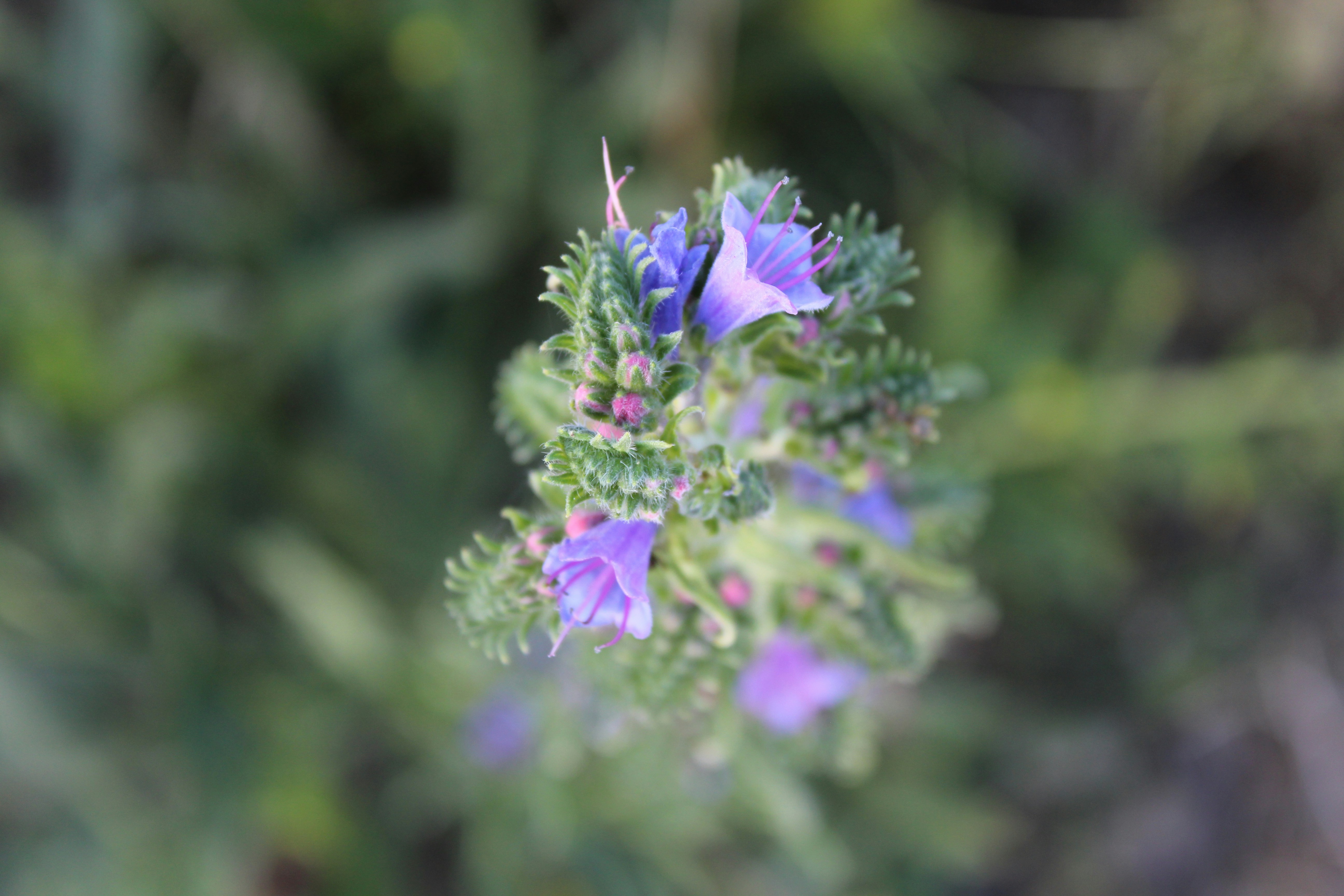 Photo by alys_skowron