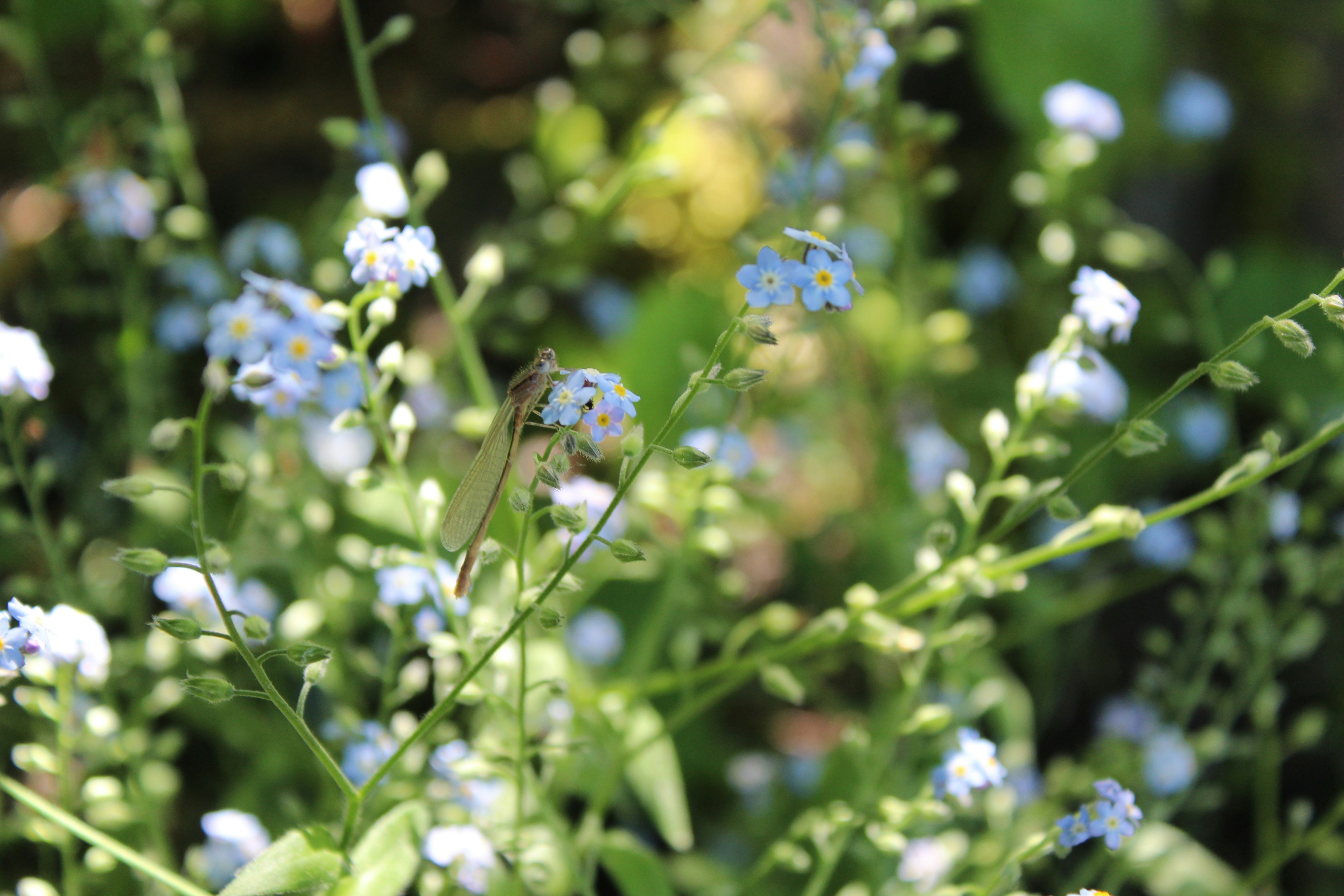 Photo by alys_skowron