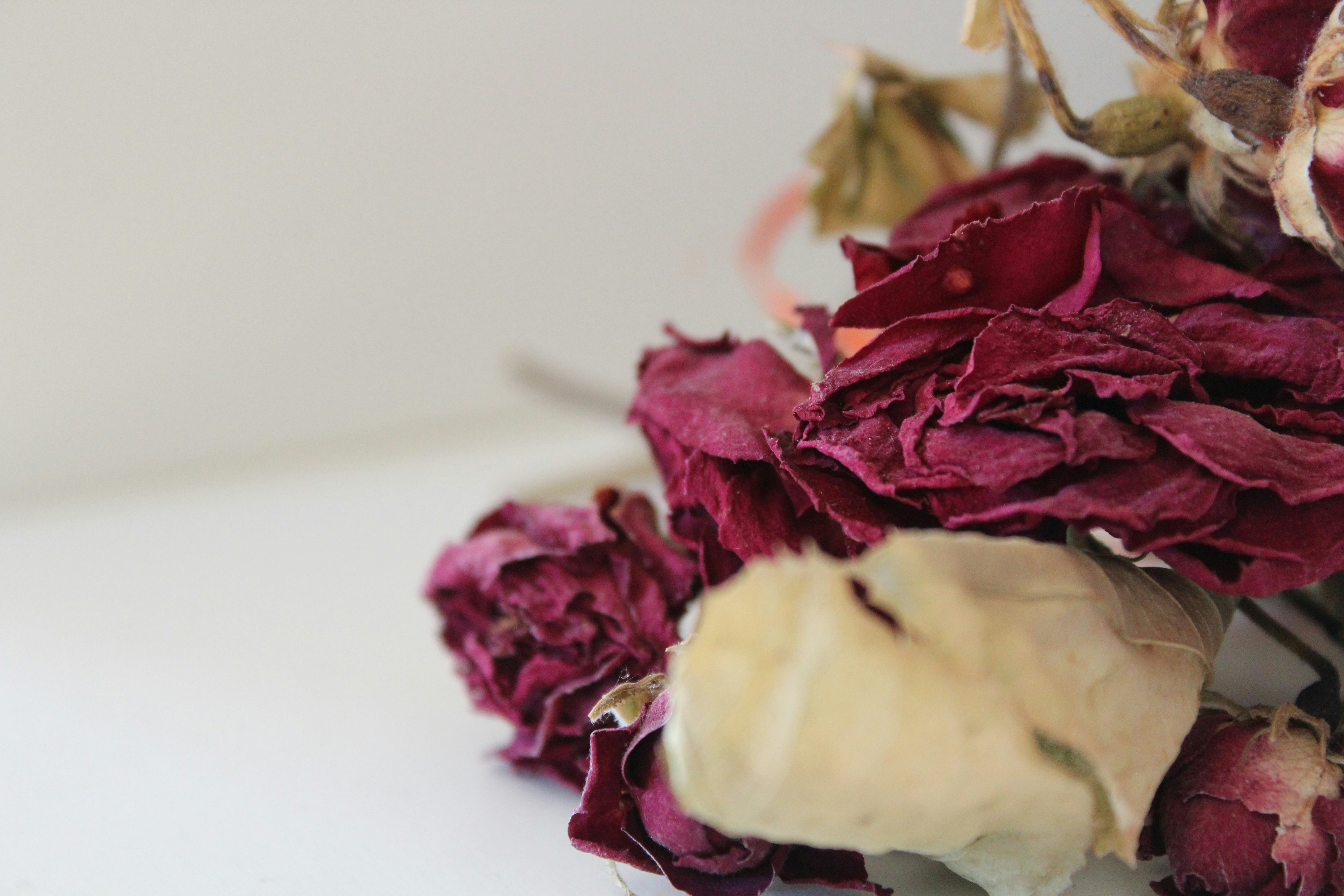 Photo by alys_skowron