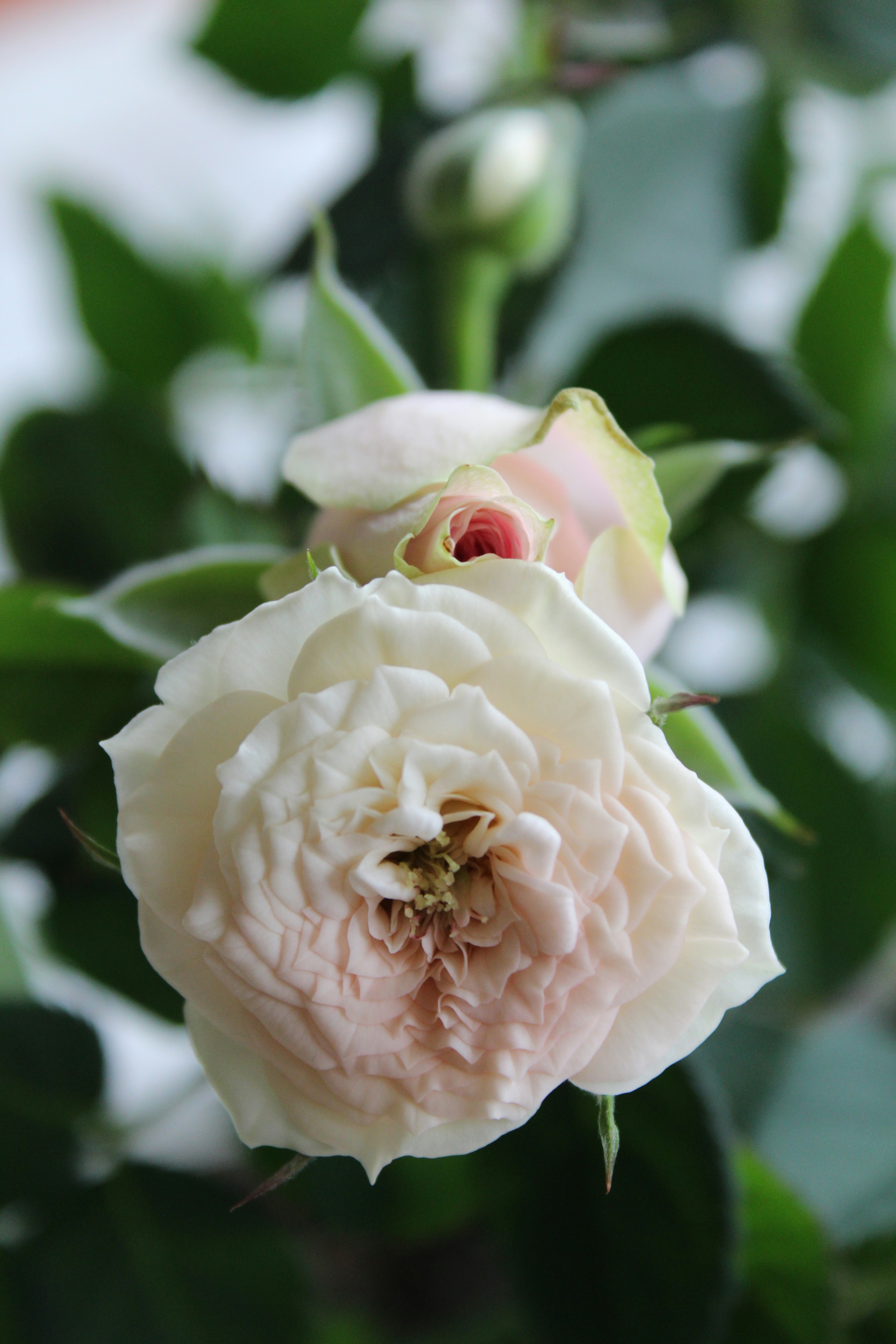 Photo by alys_skowron