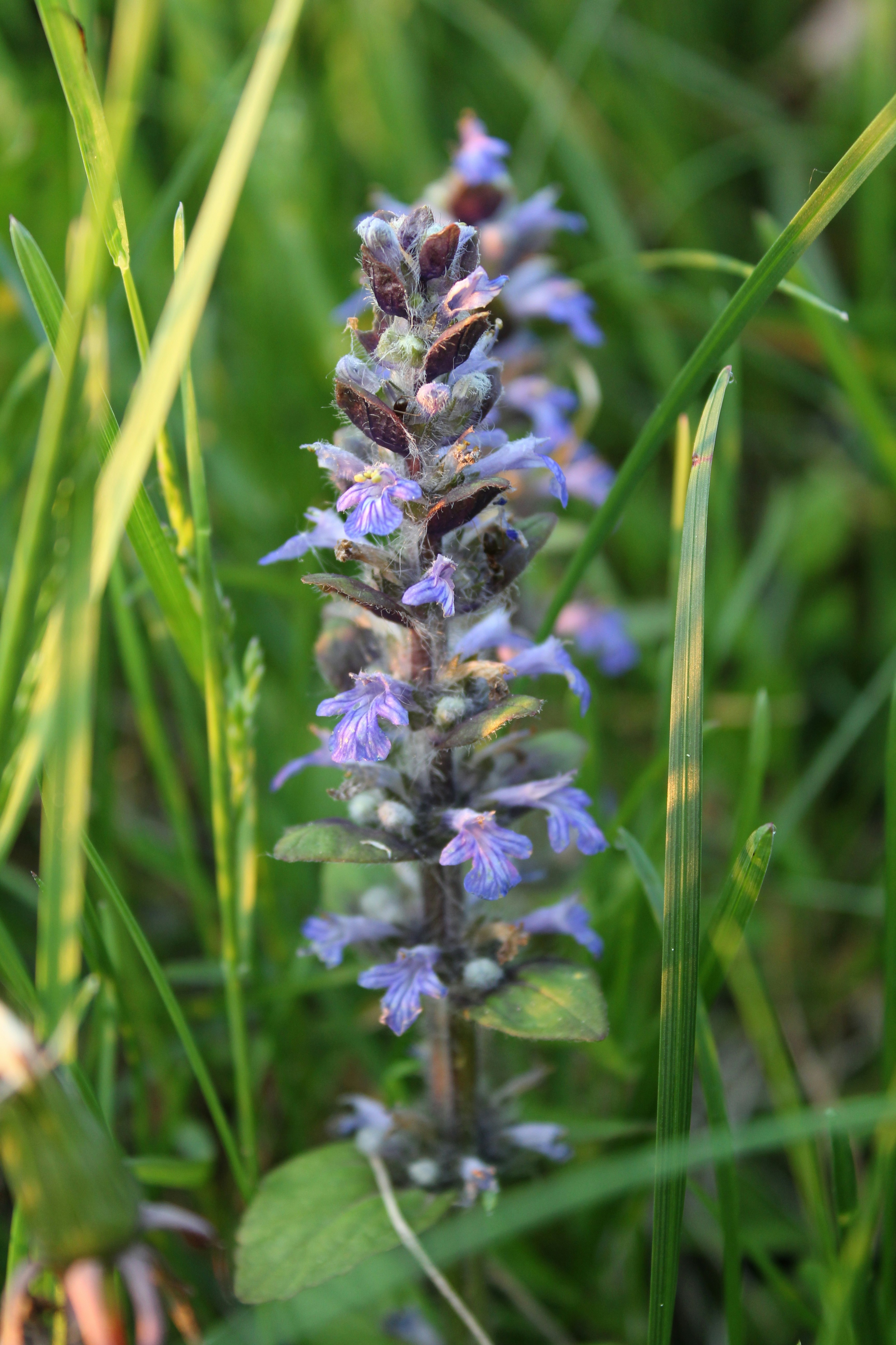 Photo by alys_skowron