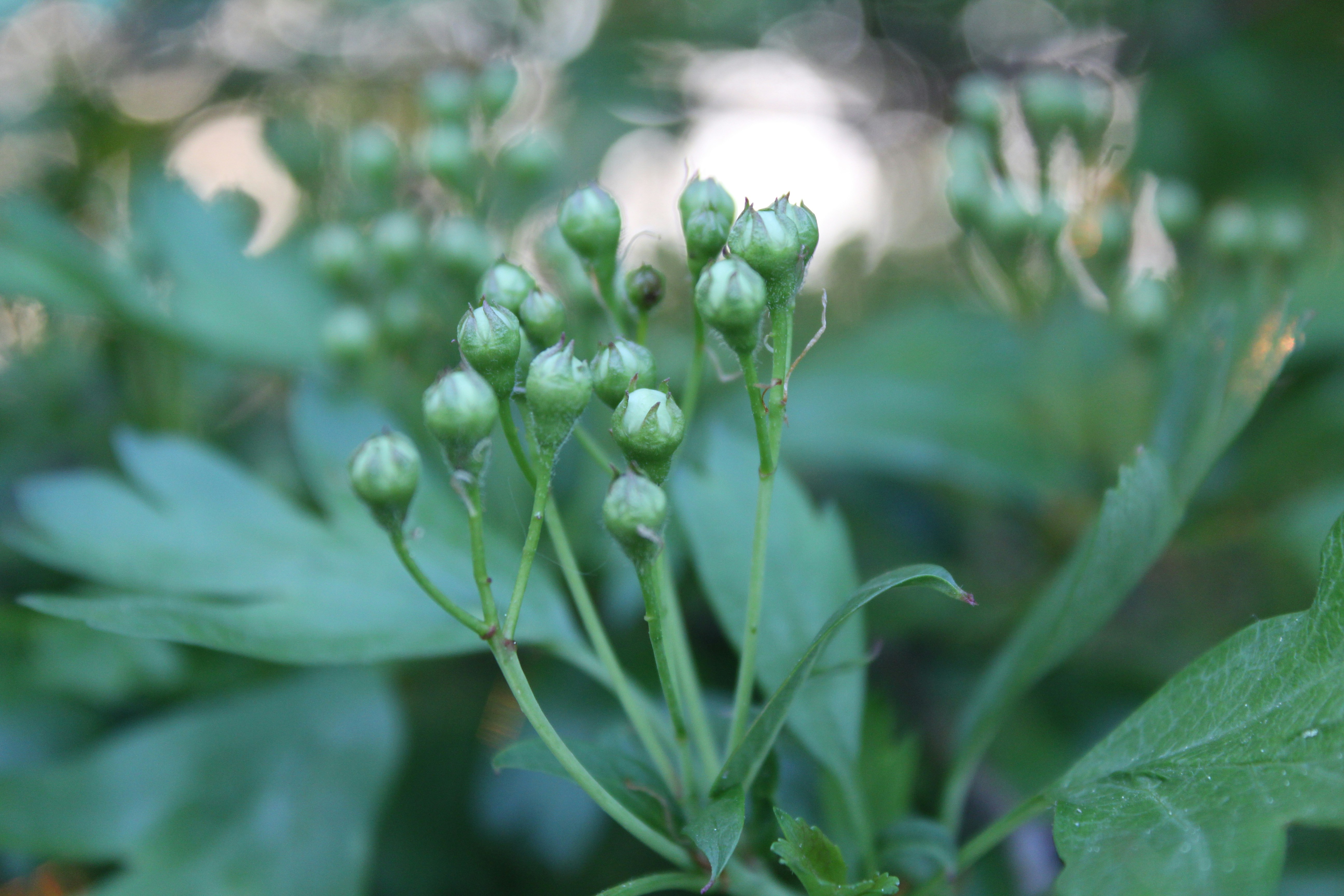 Photo by alys_skowron