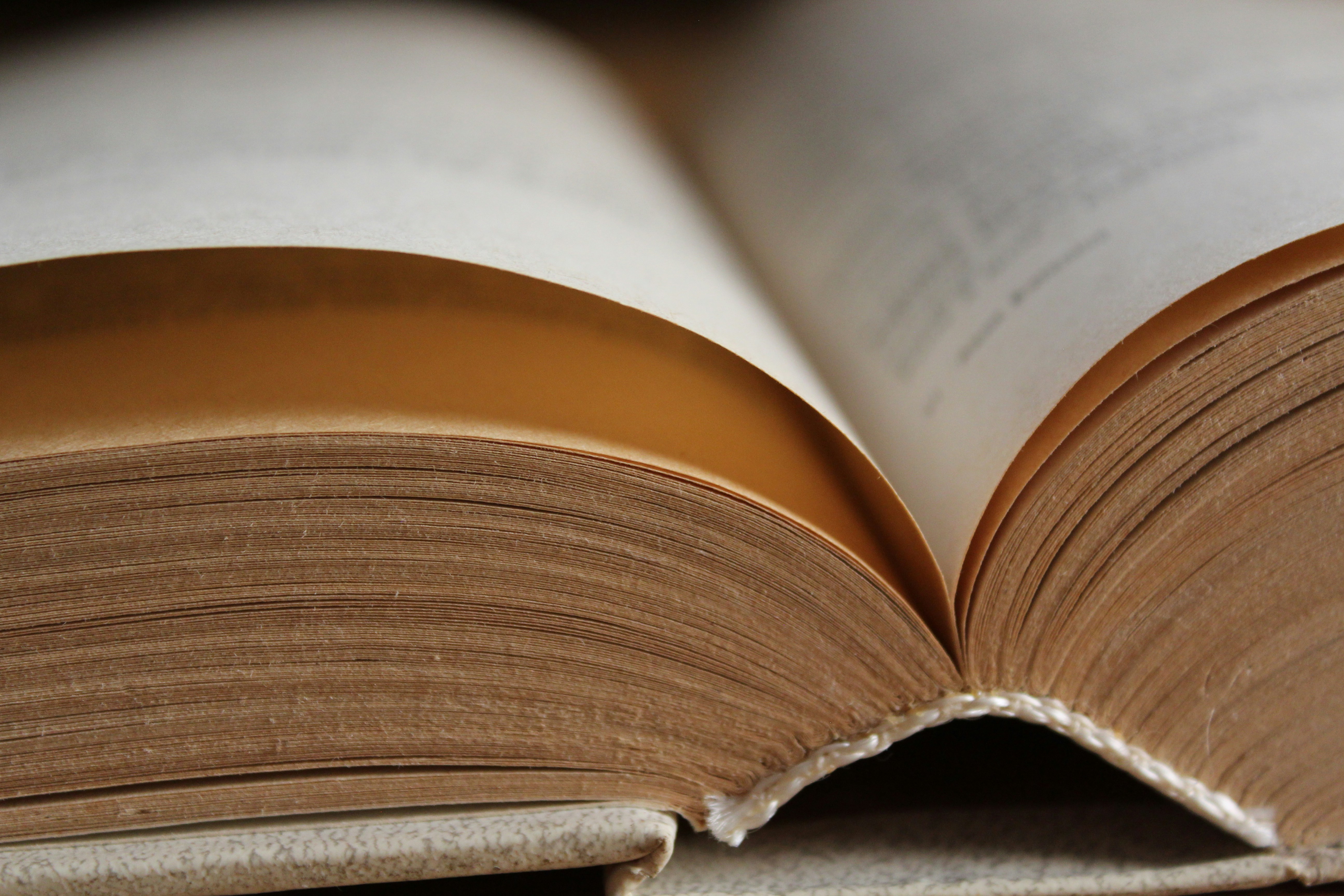 Photo by alys_skowron