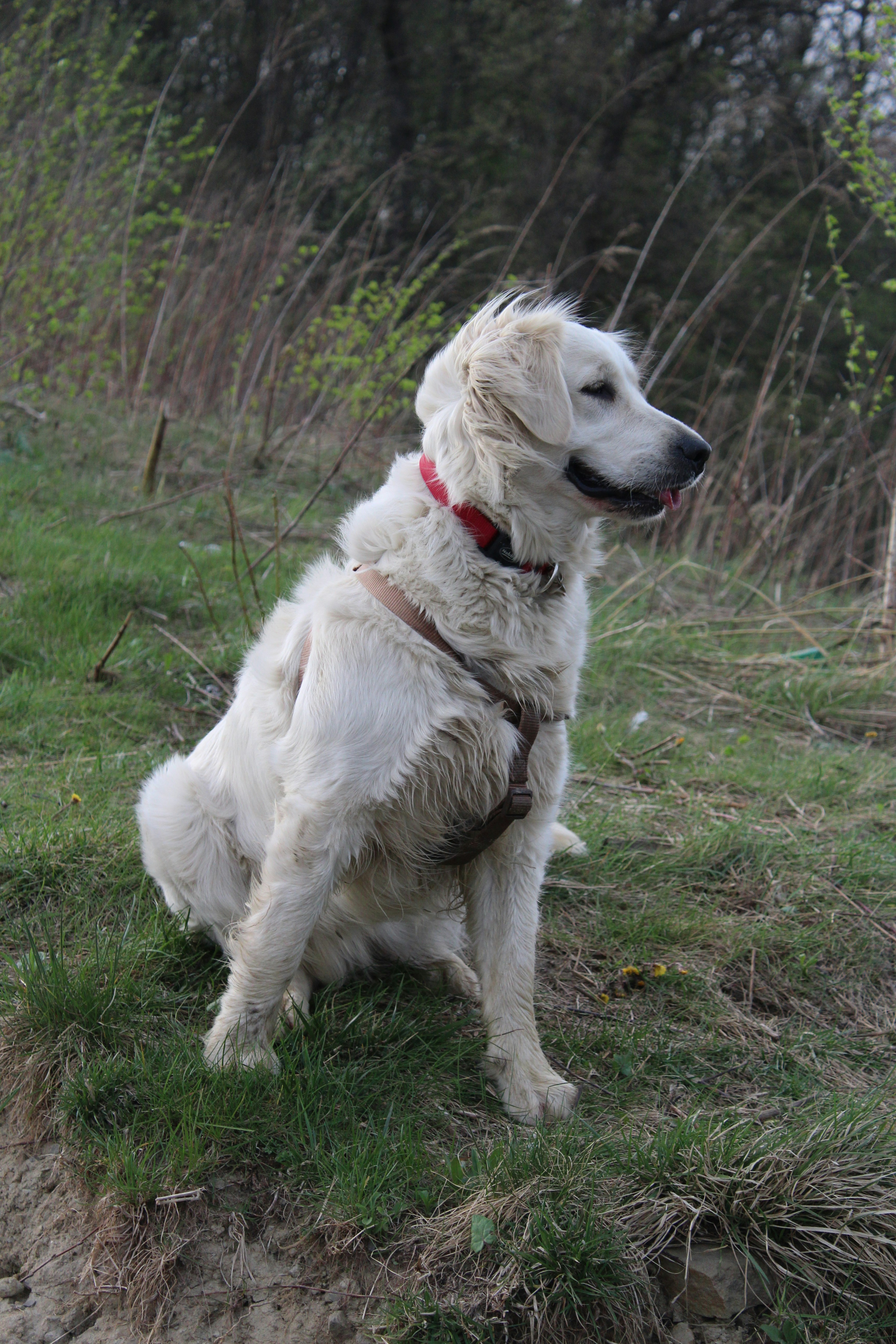 Photo by alys_skowron