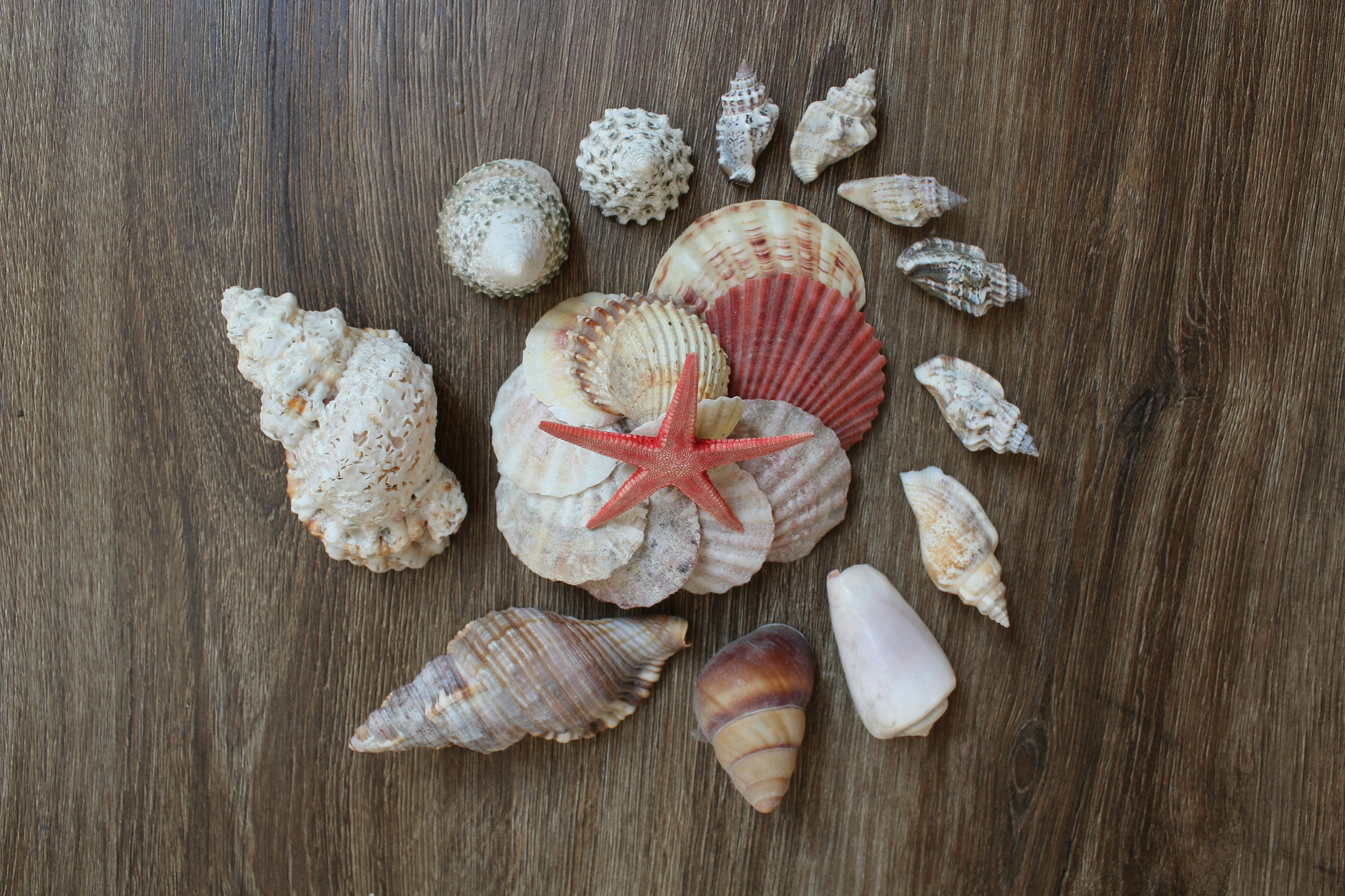 Photo by alys_skowron