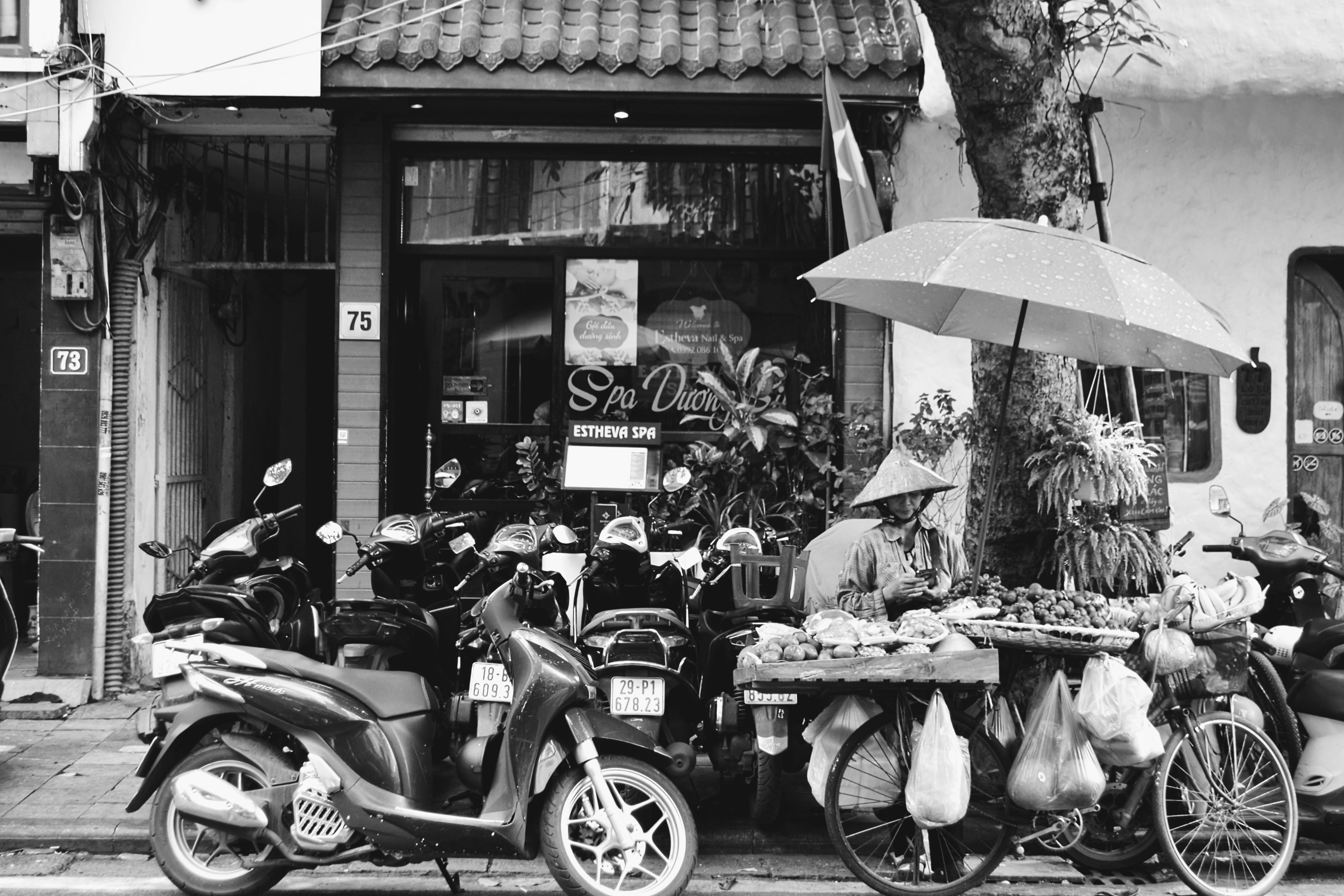 The Duck Stop: Surga Tersembunyi di Vietnam yang Wajib Dikunjungi