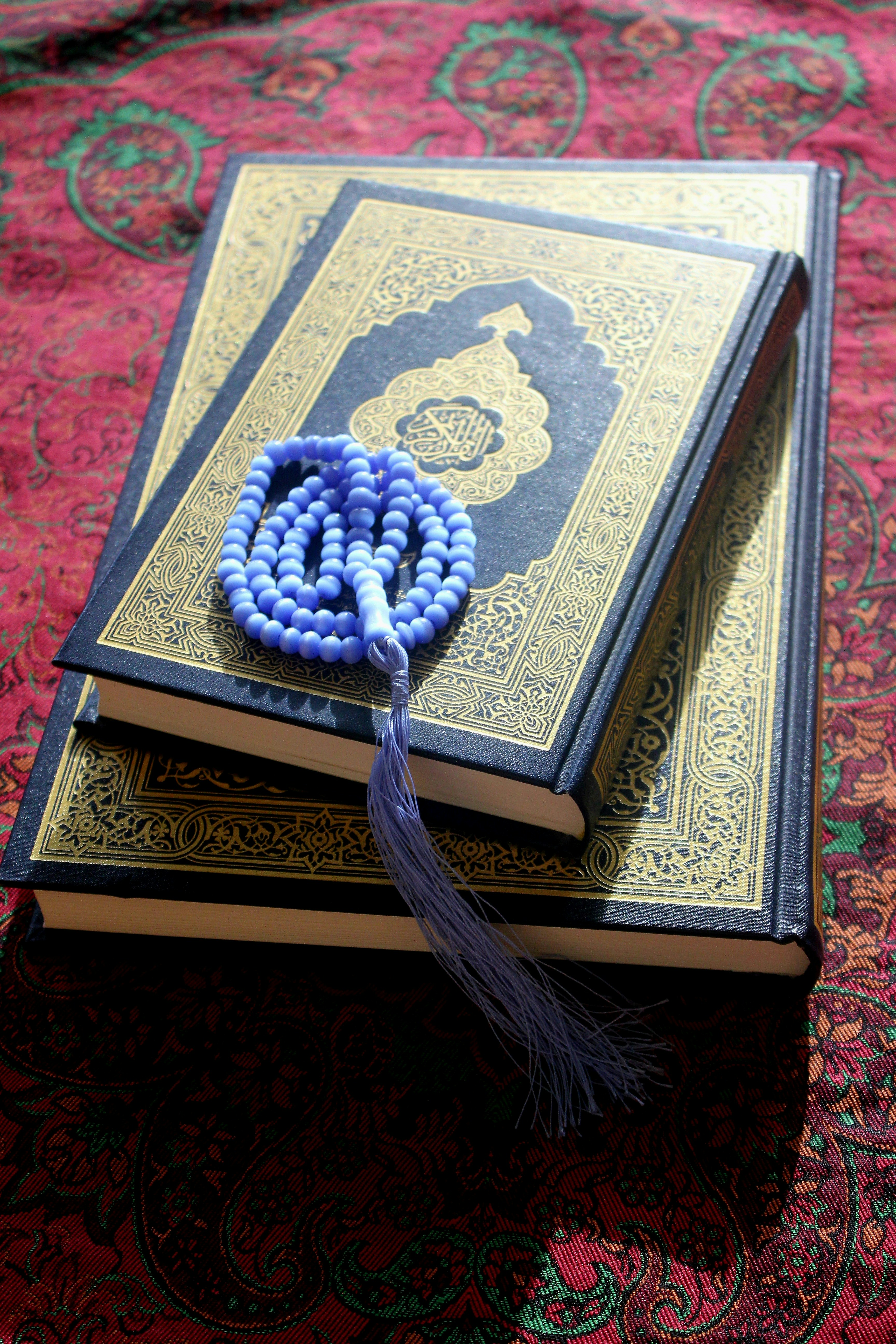 Photo by manavimoghadam