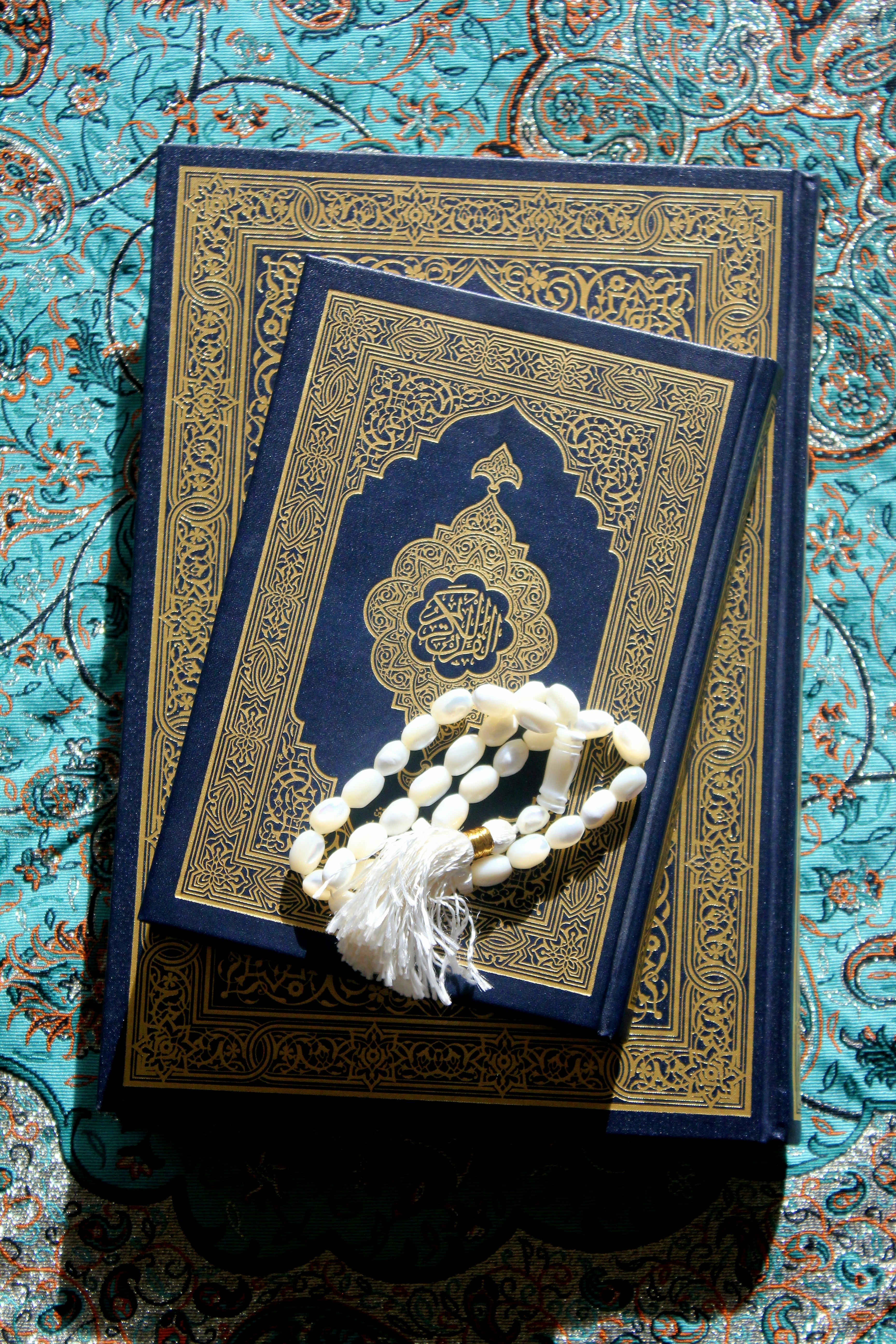 Photo by manavimoghadam