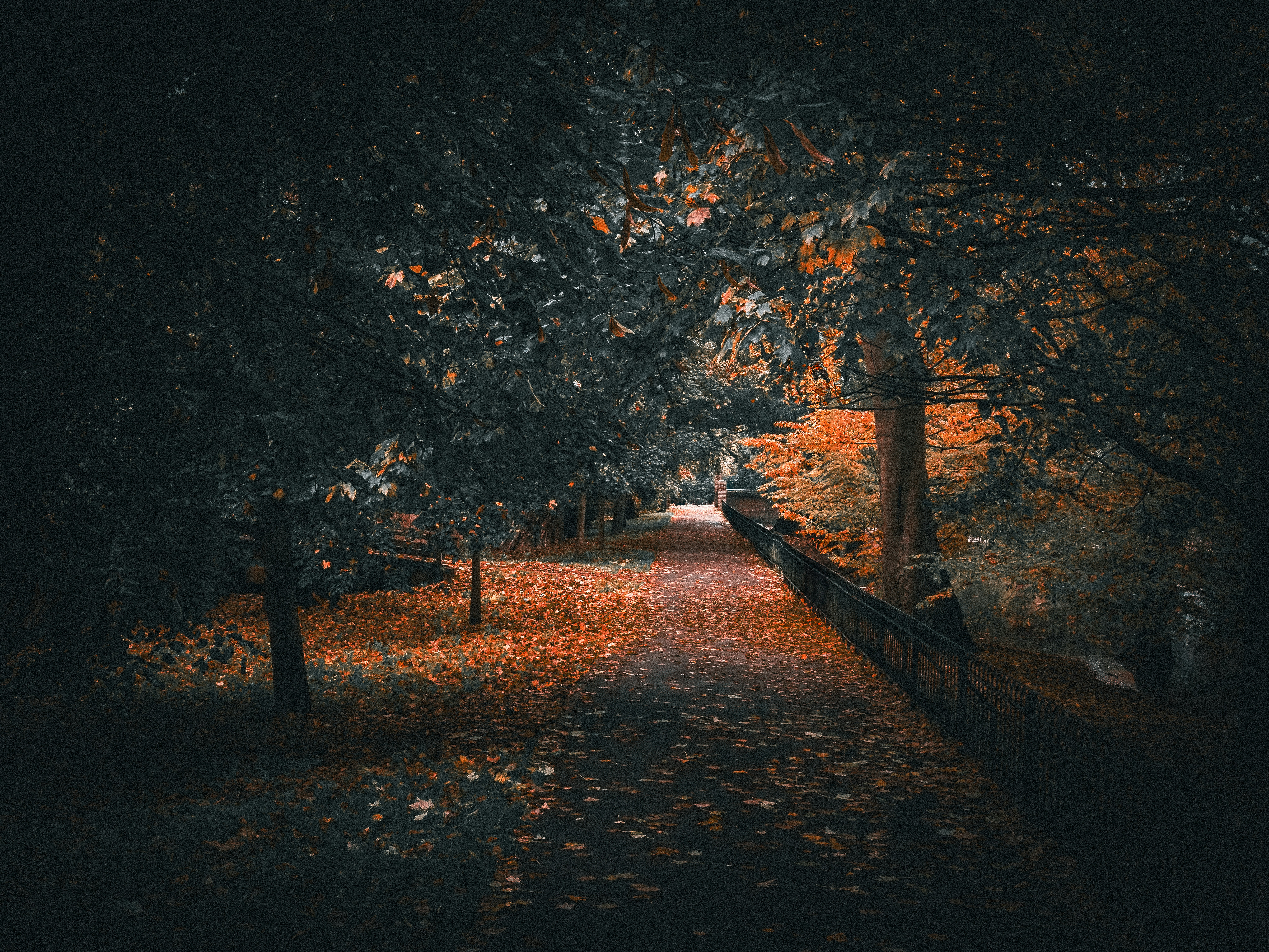 Photo by abushihabmarey