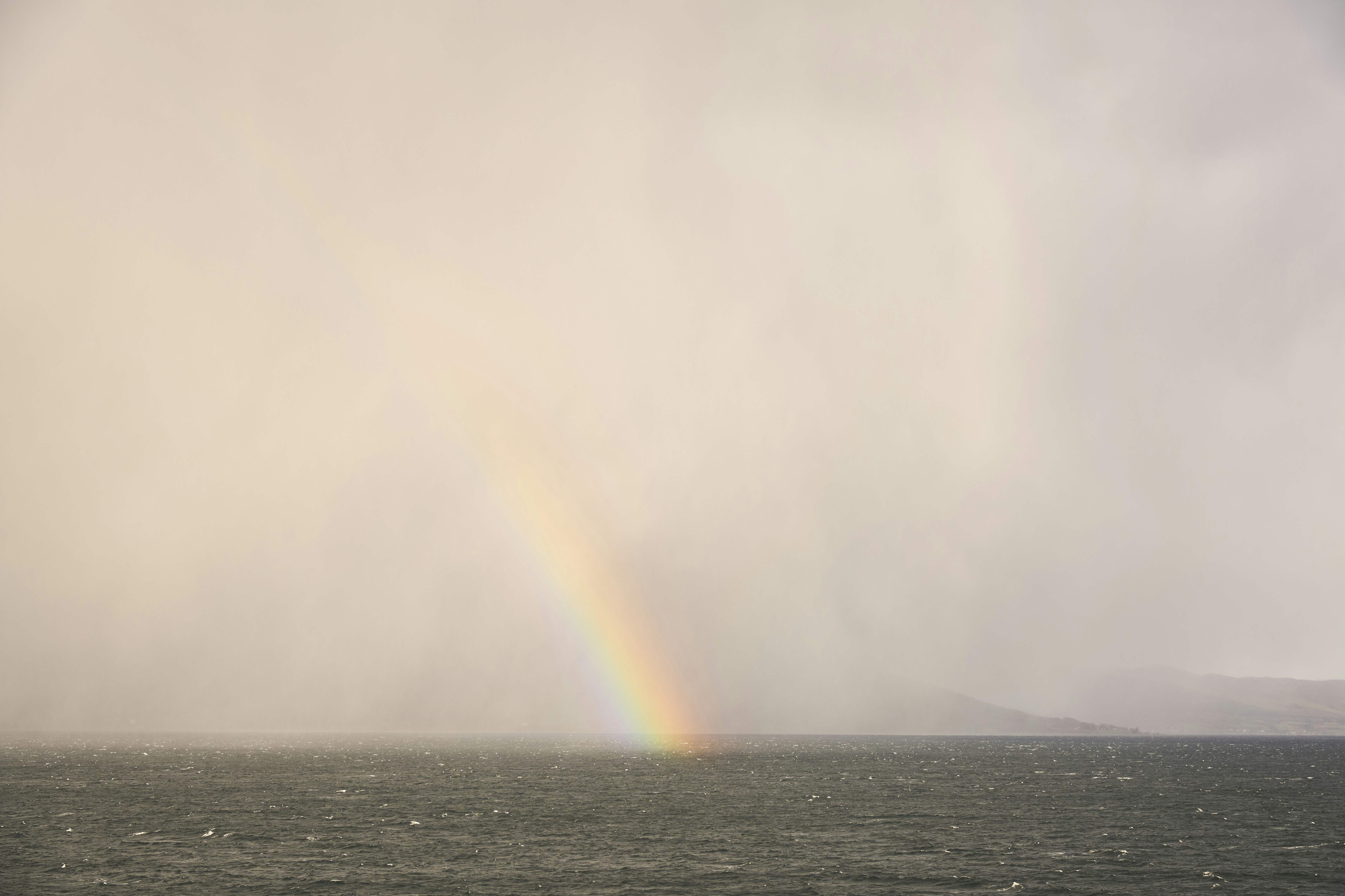 Photo by wolfgang_hasselmann