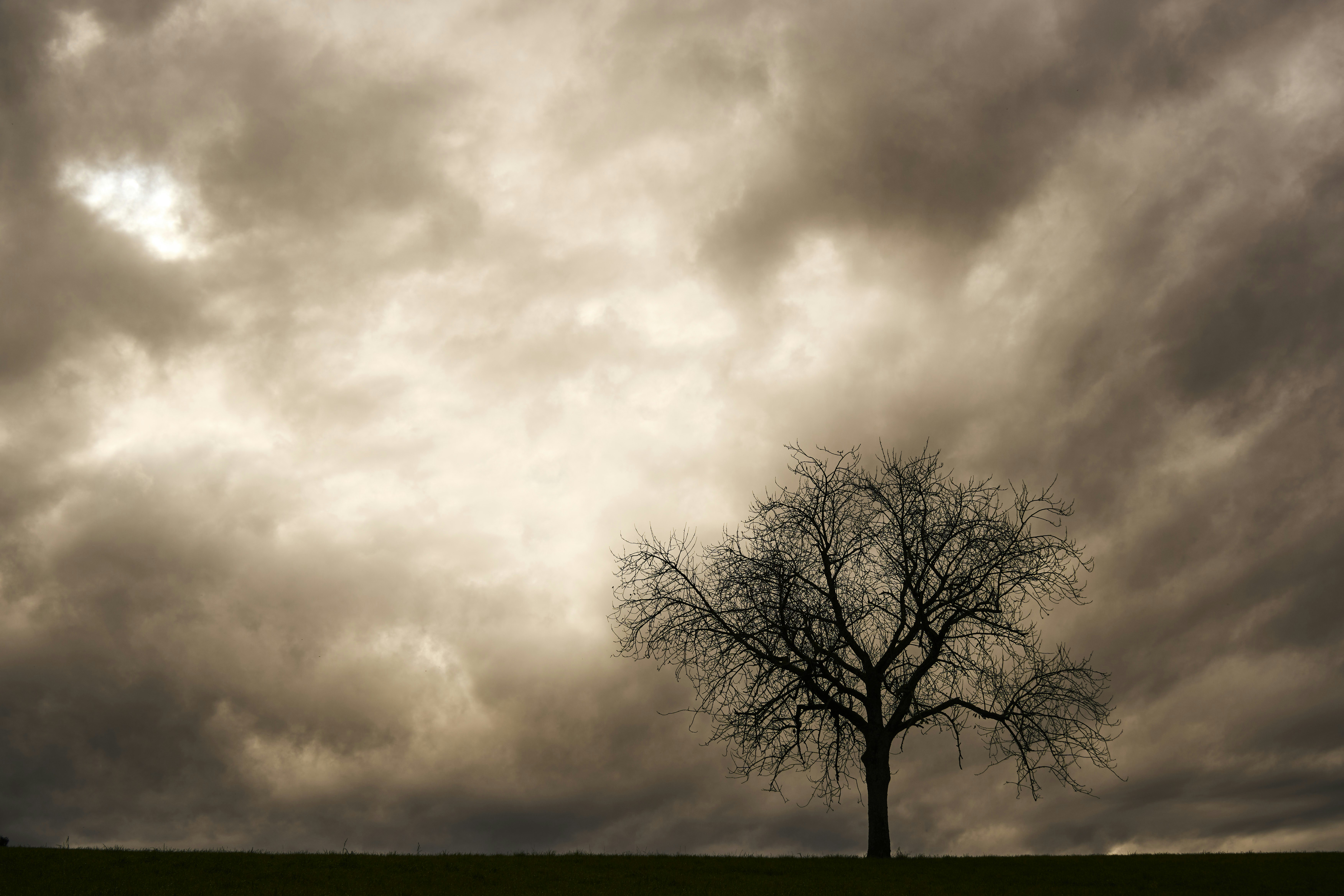 Photo by wolfgang_hasselmann