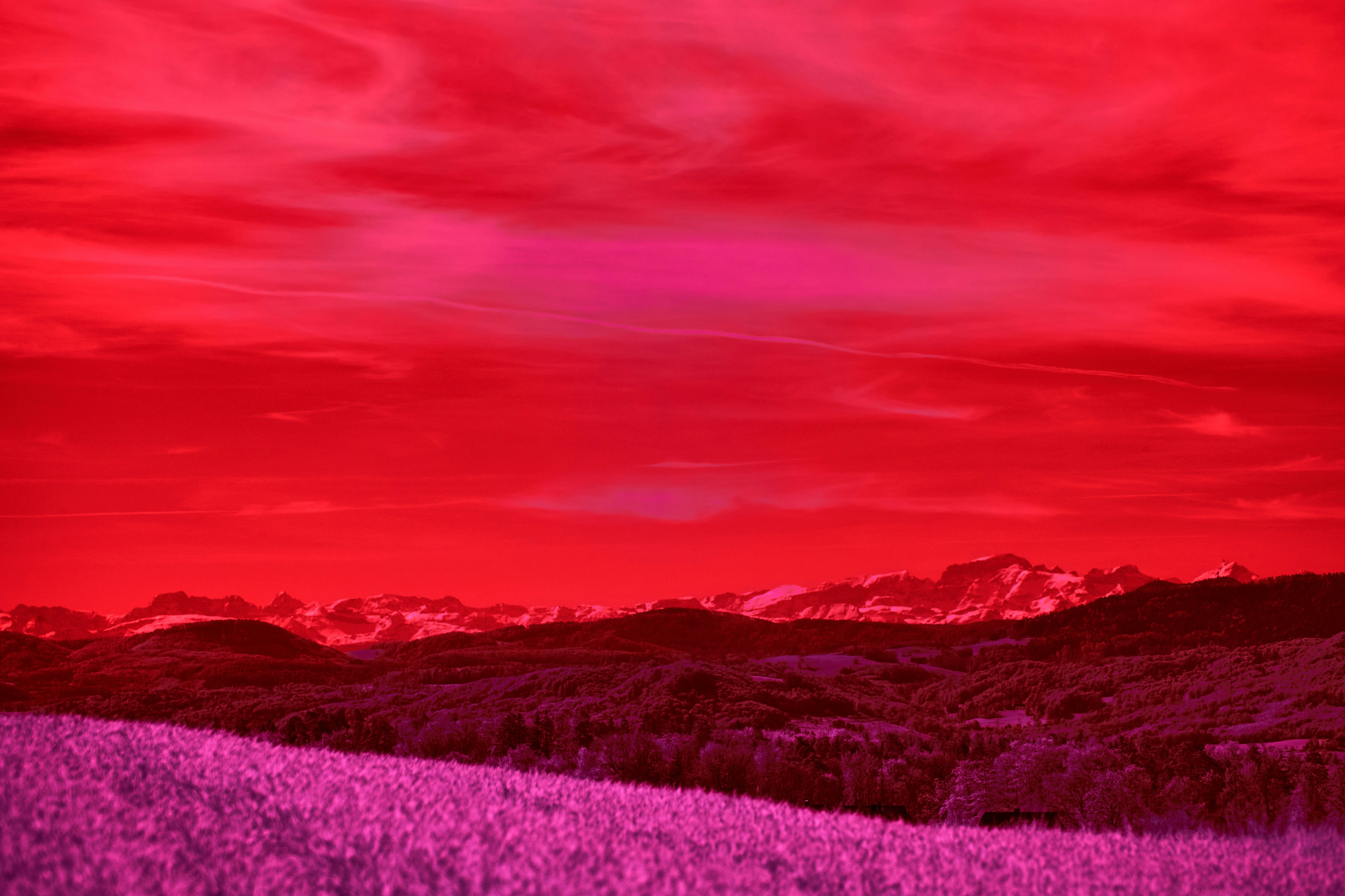 Photo by wolfgang_hasselmann