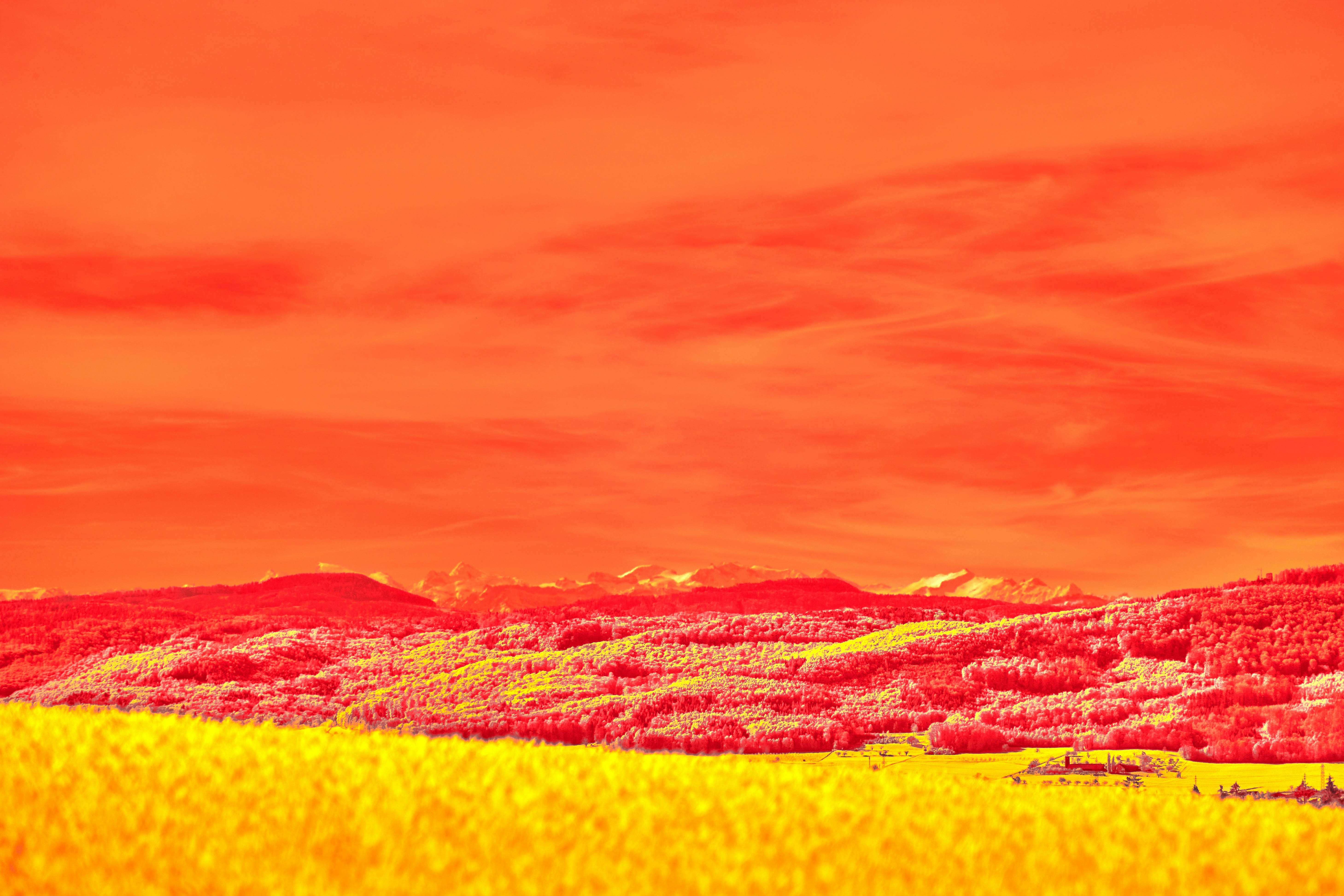 Photo by wolfgang_hasselmann