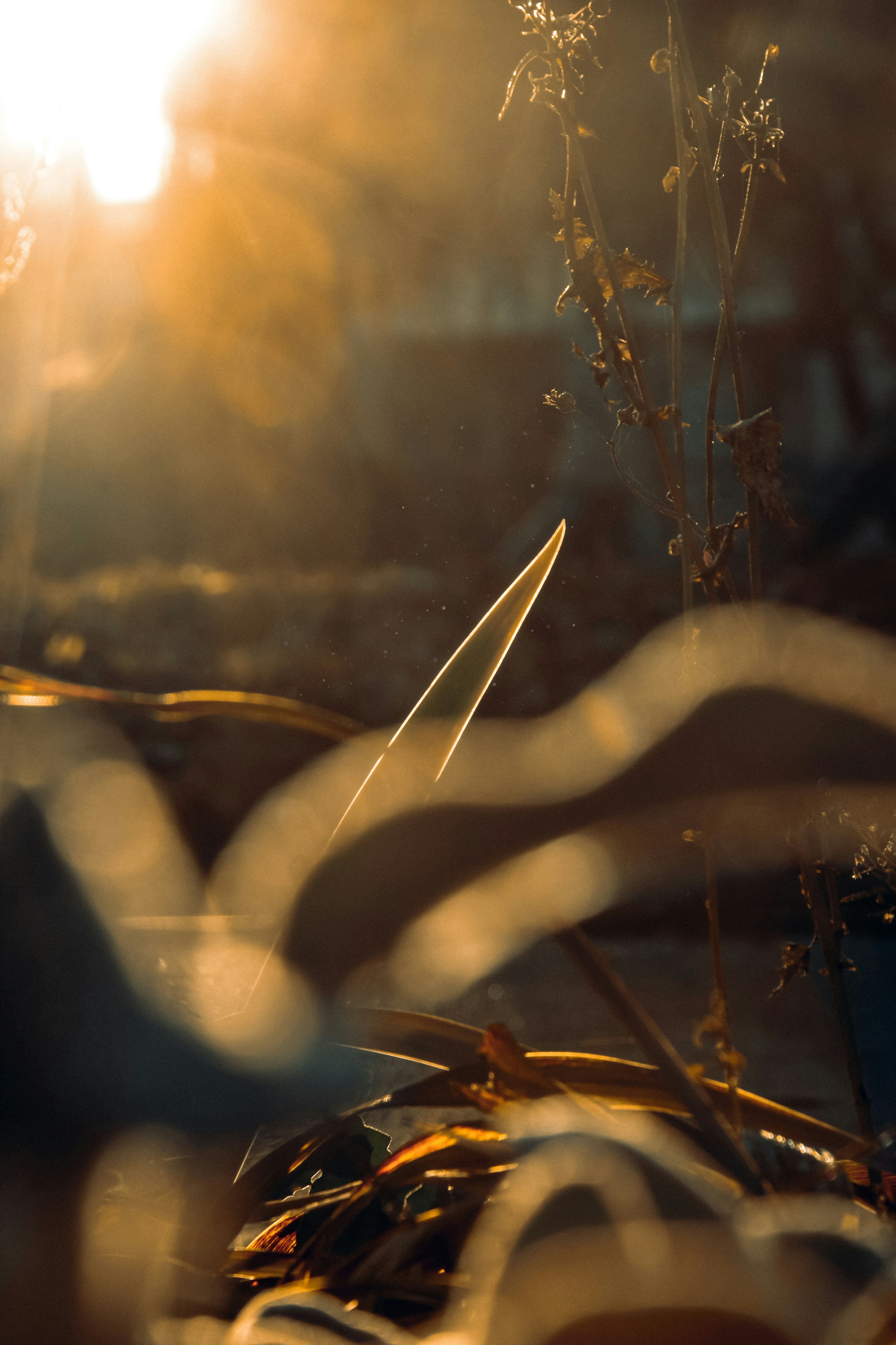 Photo by impermanent