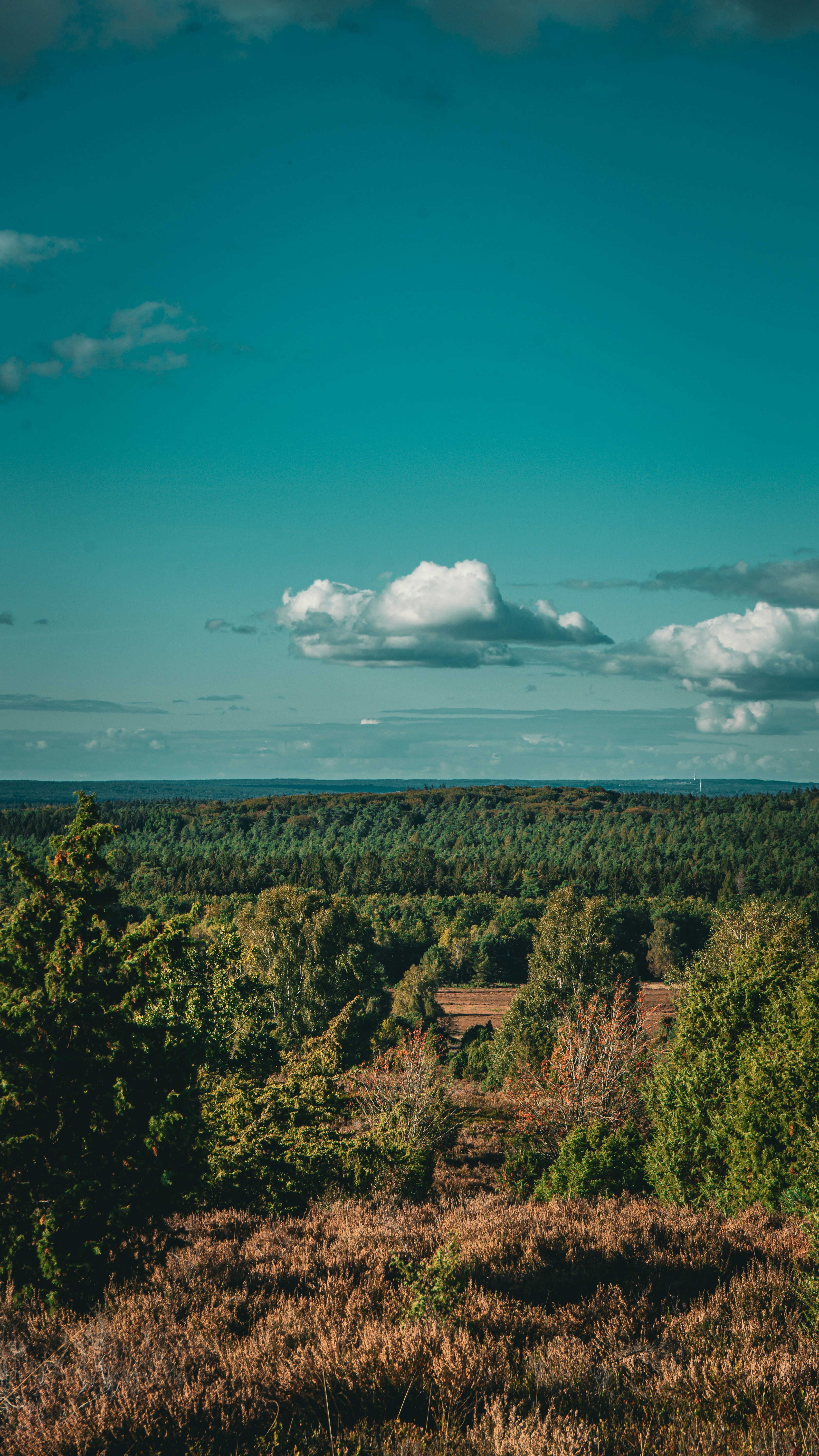 Photo by danielsiebert