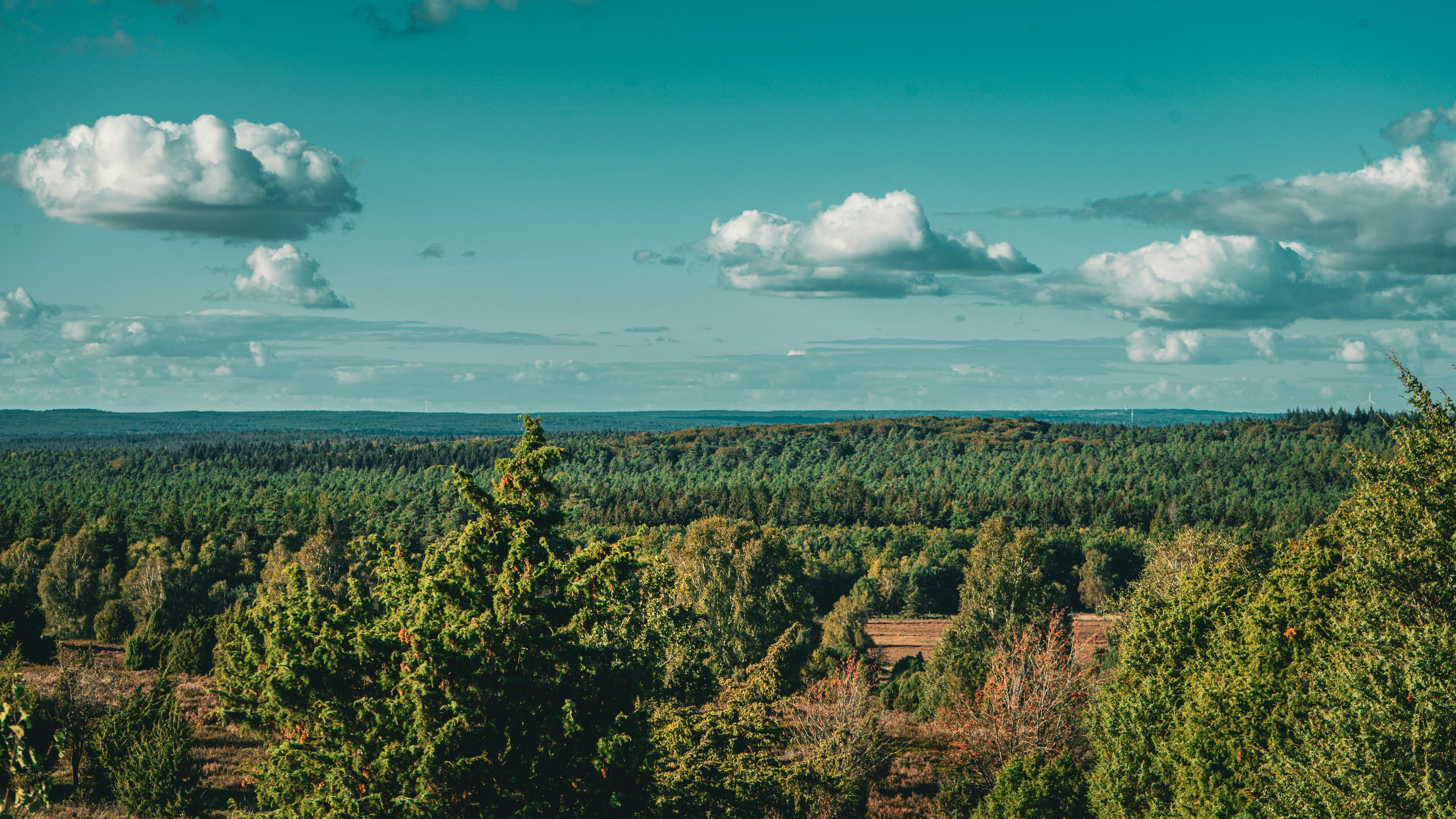 Photo by danielsiebert