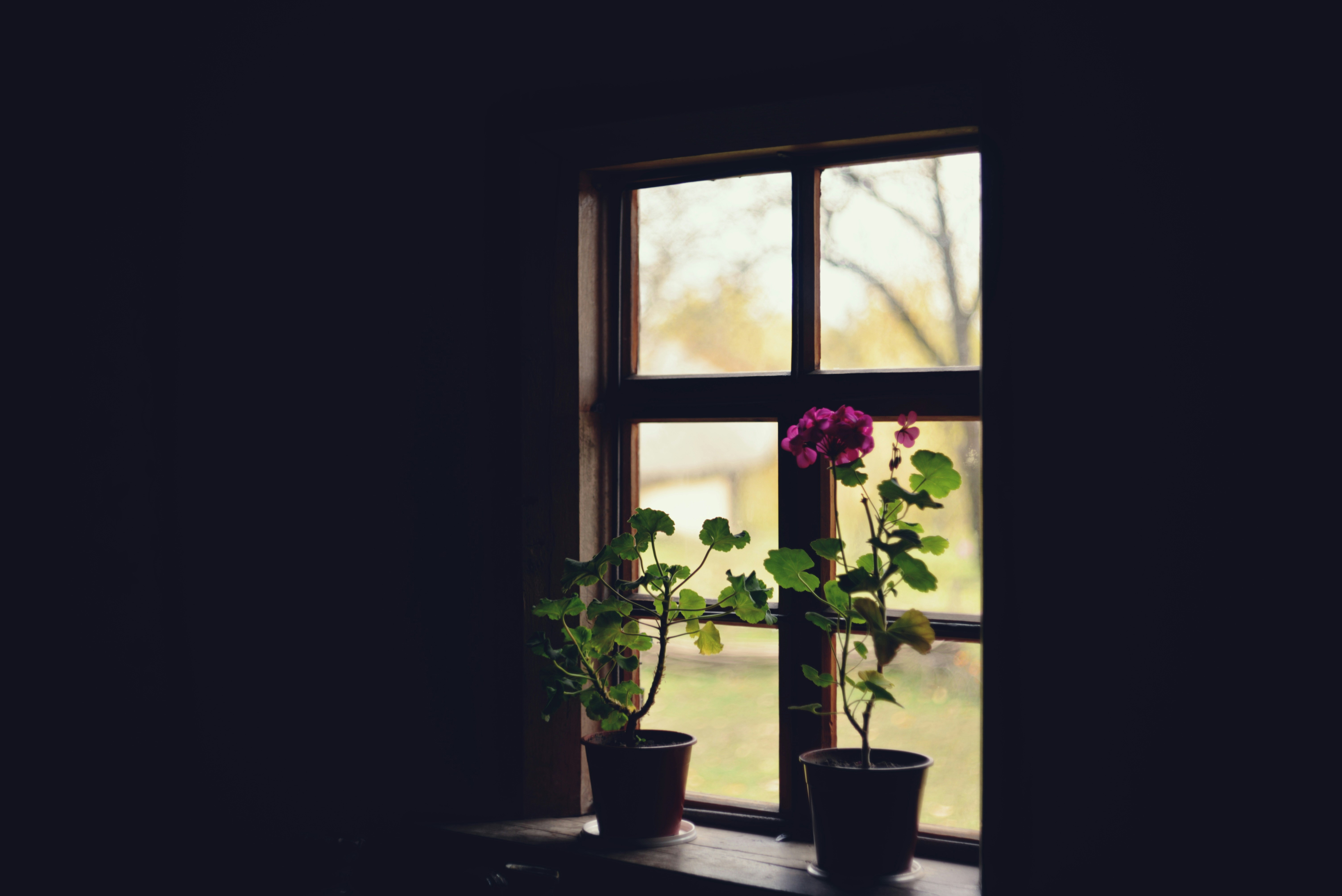 Photo by cherstve_pechivo