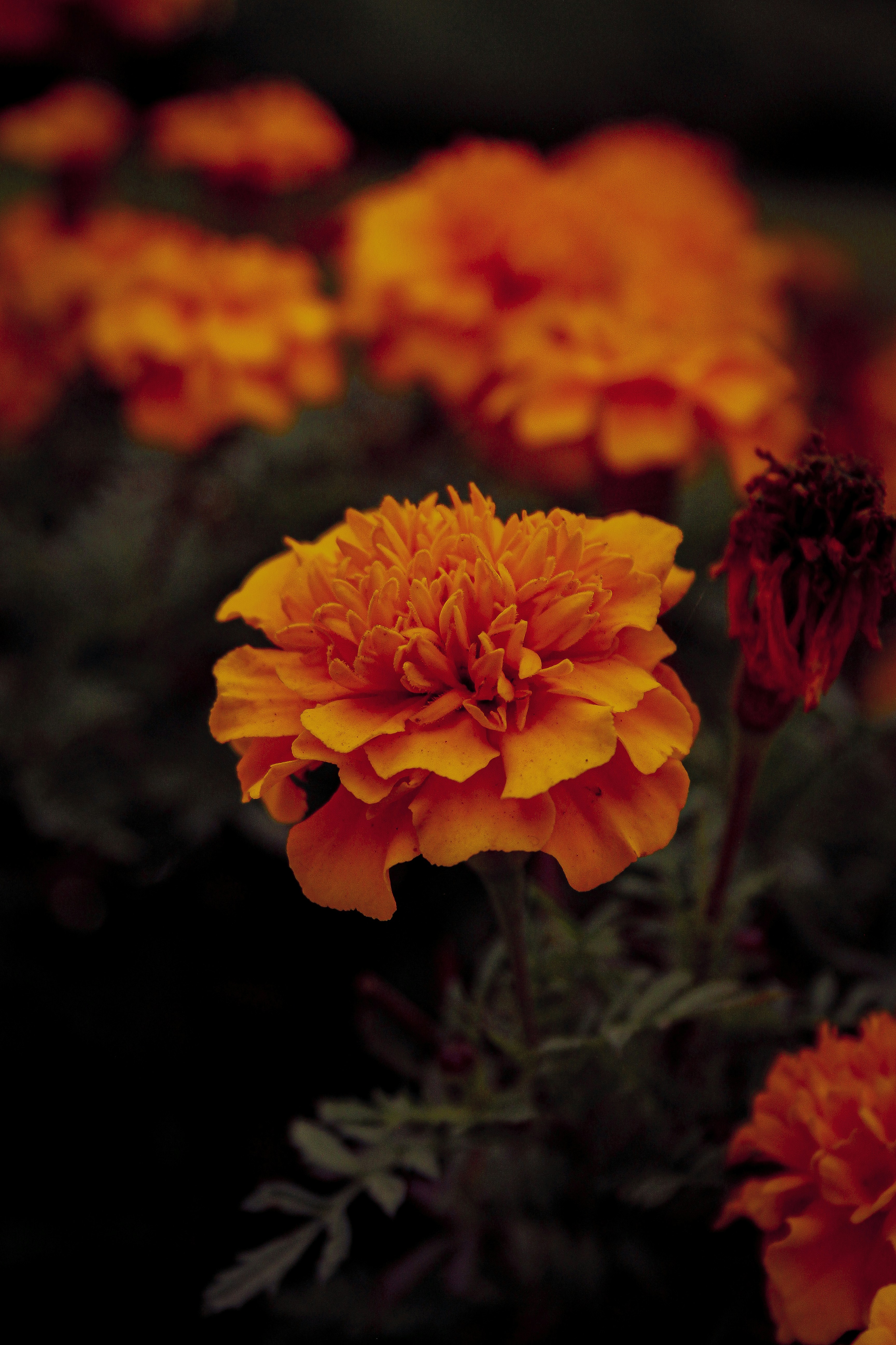 Photo by michael_kater