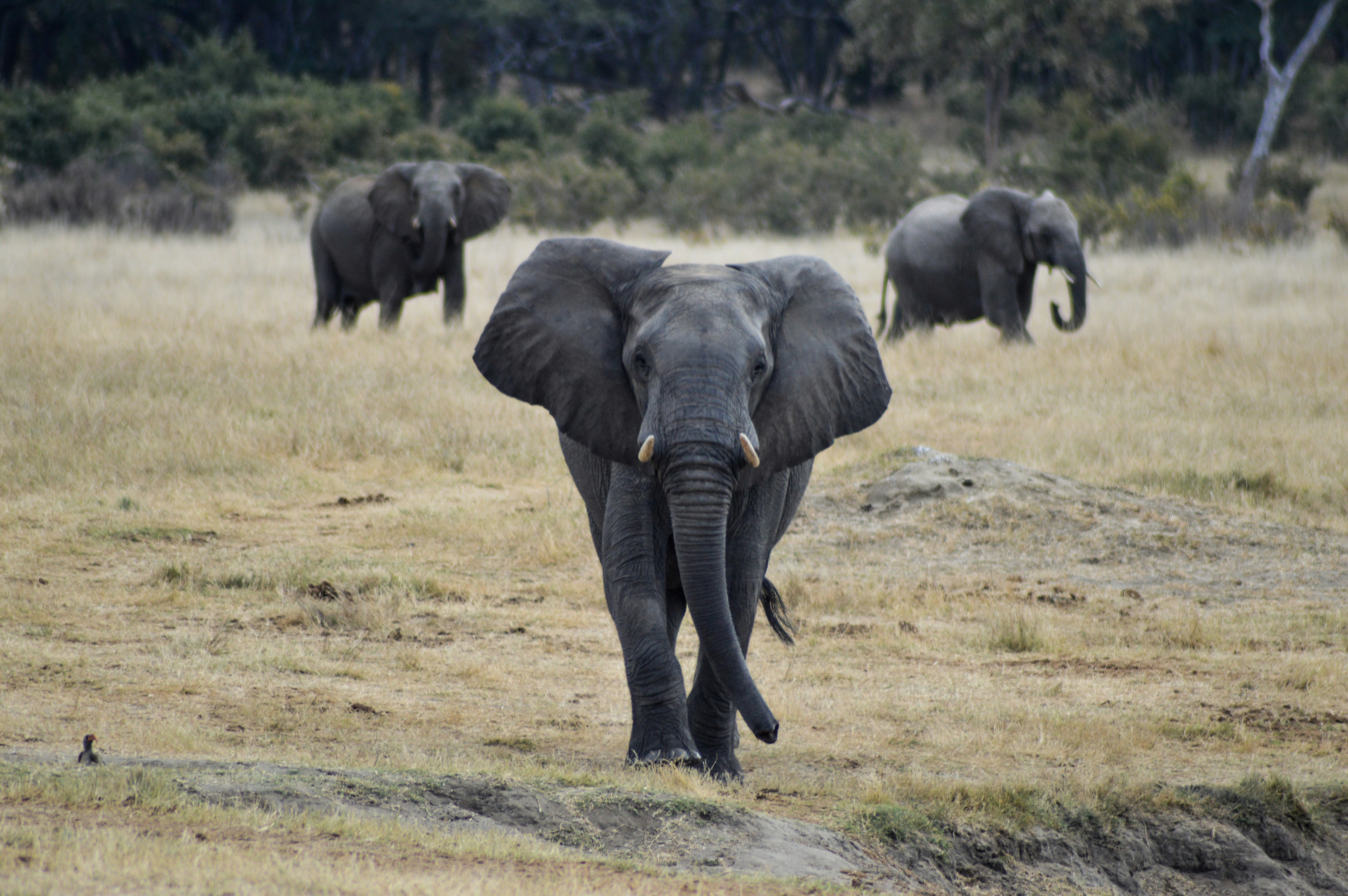 Photo by patriciac1979