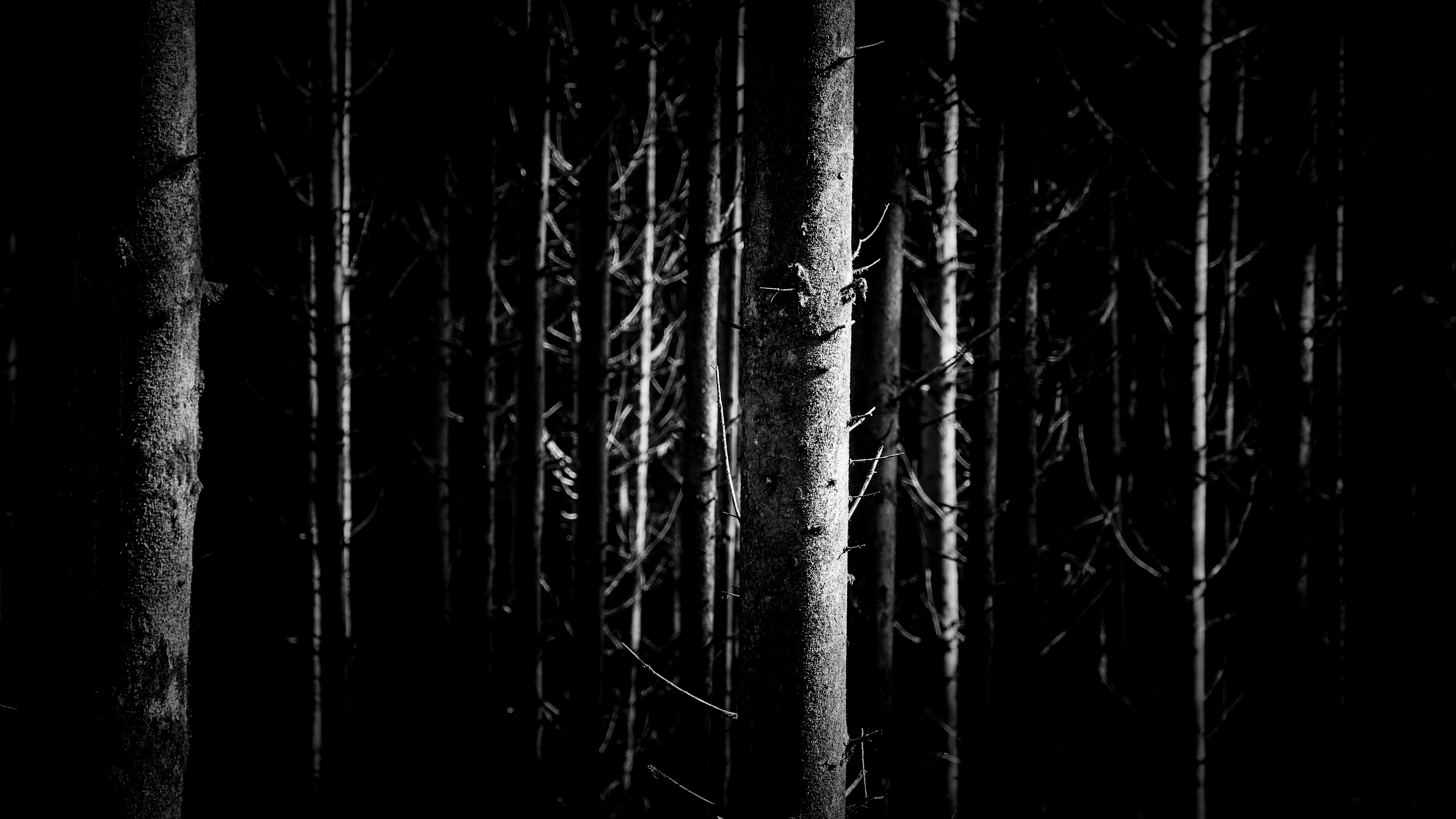 Photo by magictravel