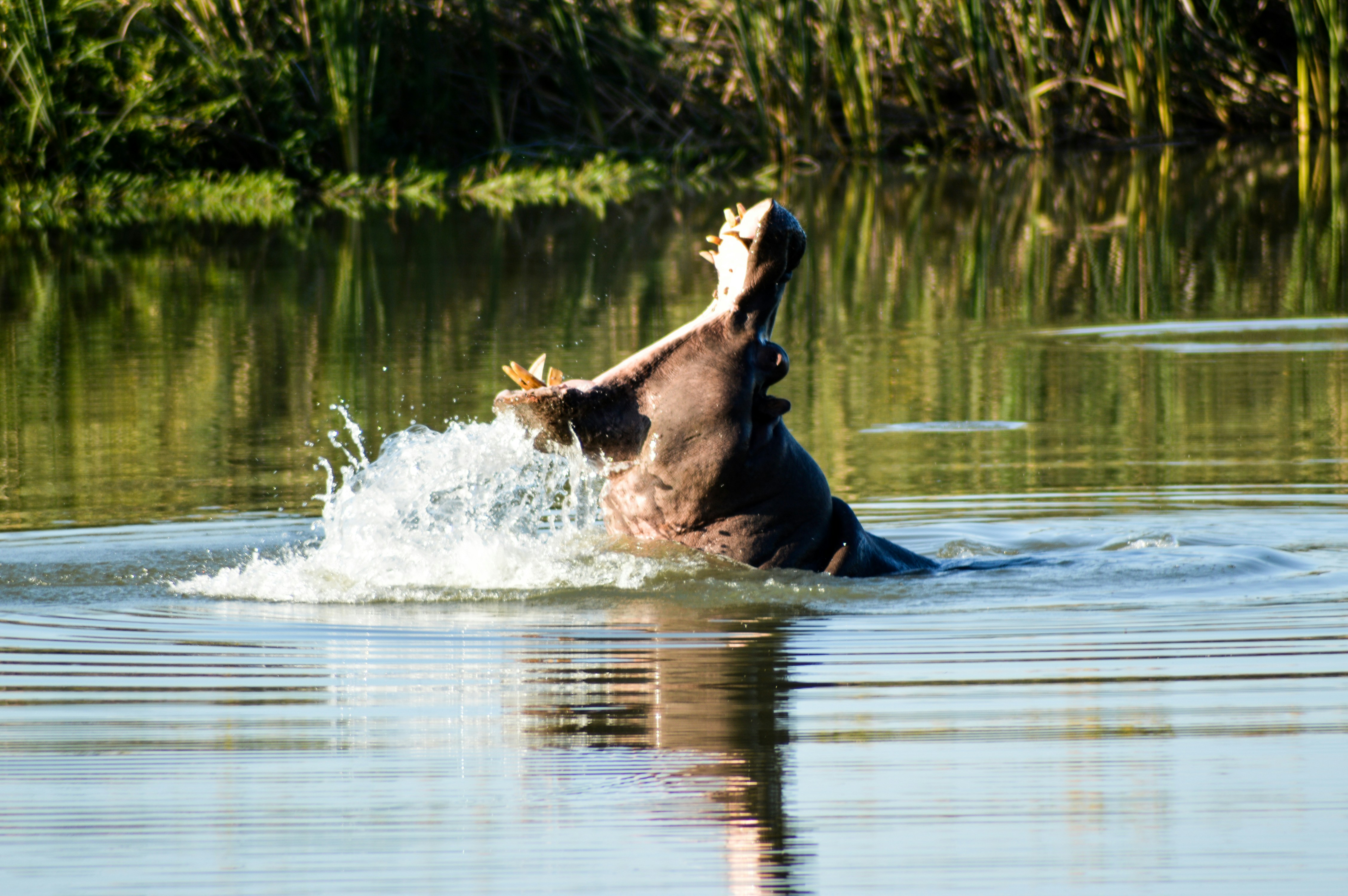 Photo by patriciac1979