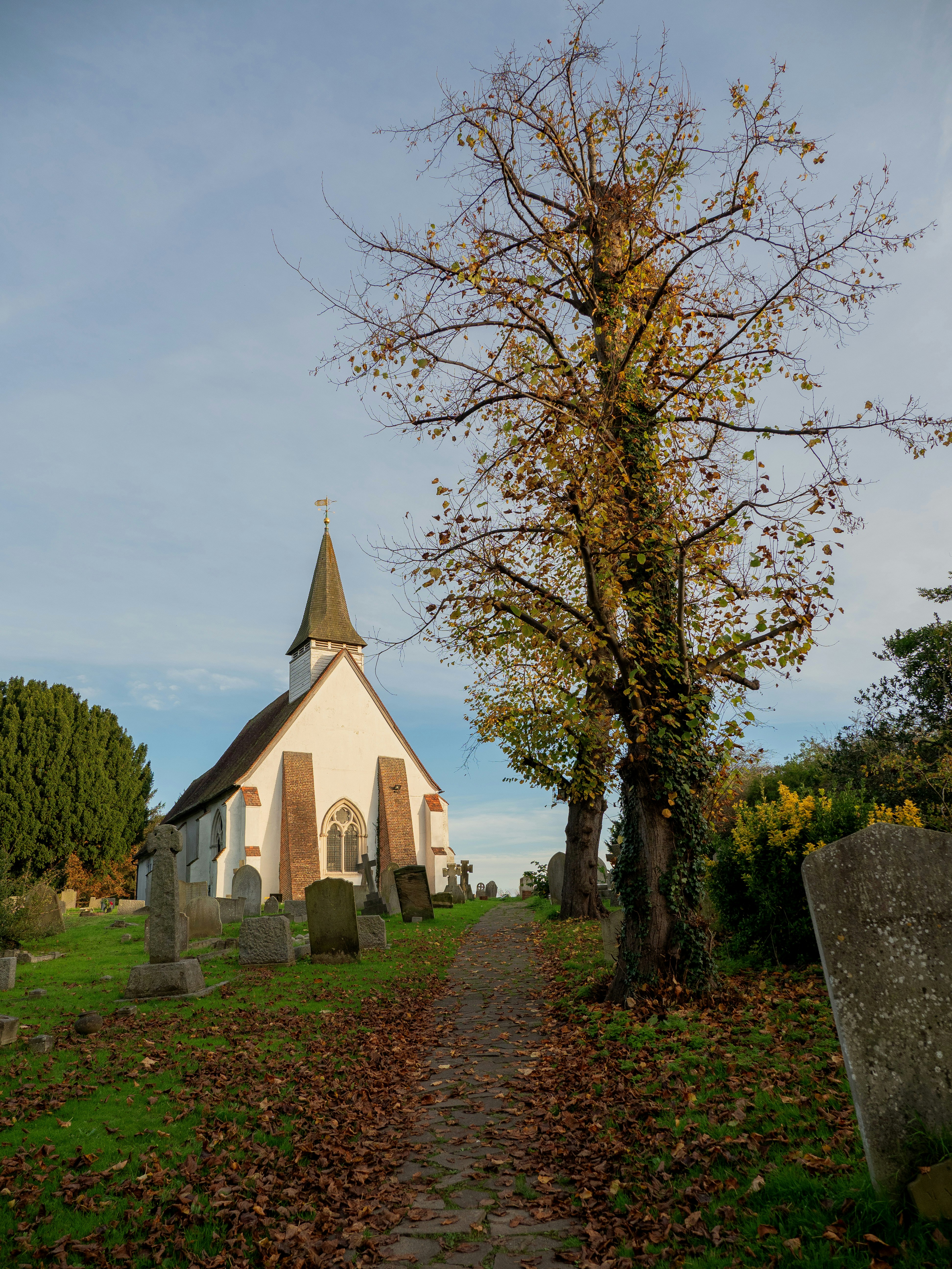 Photo by brett_jordan