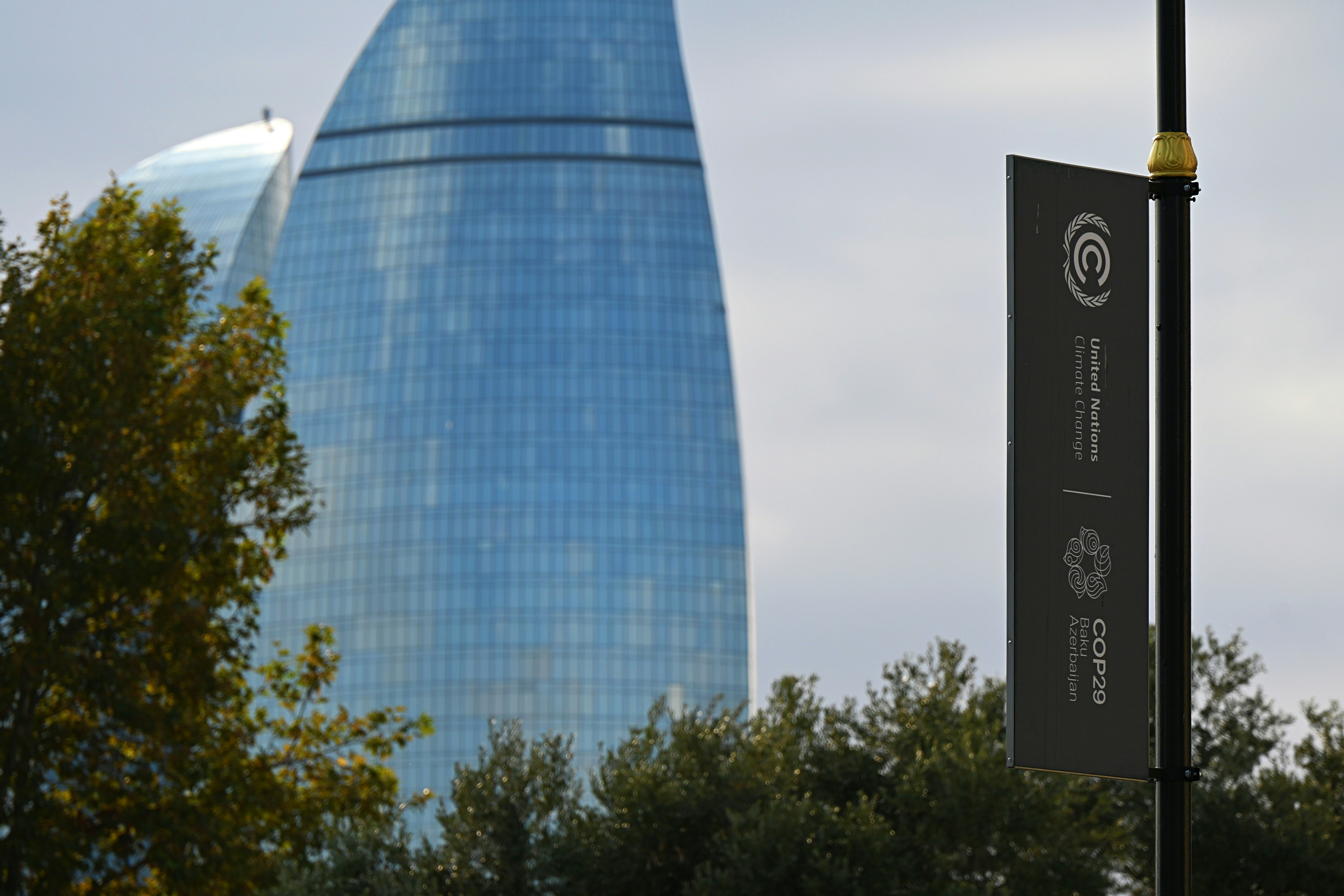 Top 5 Empresas para el desarrollo de aplicaciones en Jerez de la Frontera