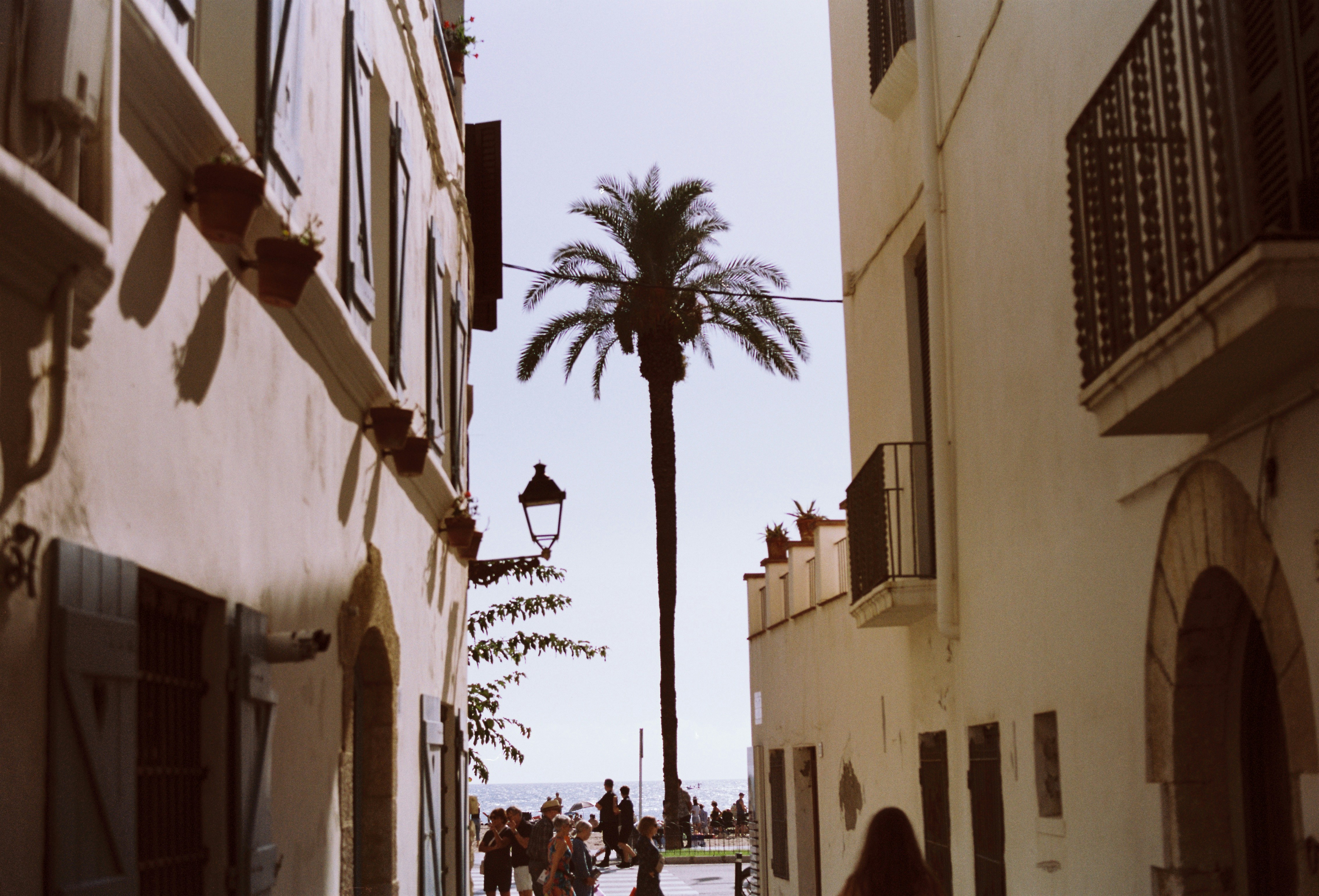 A narrow street with a palm tree in the distance, 