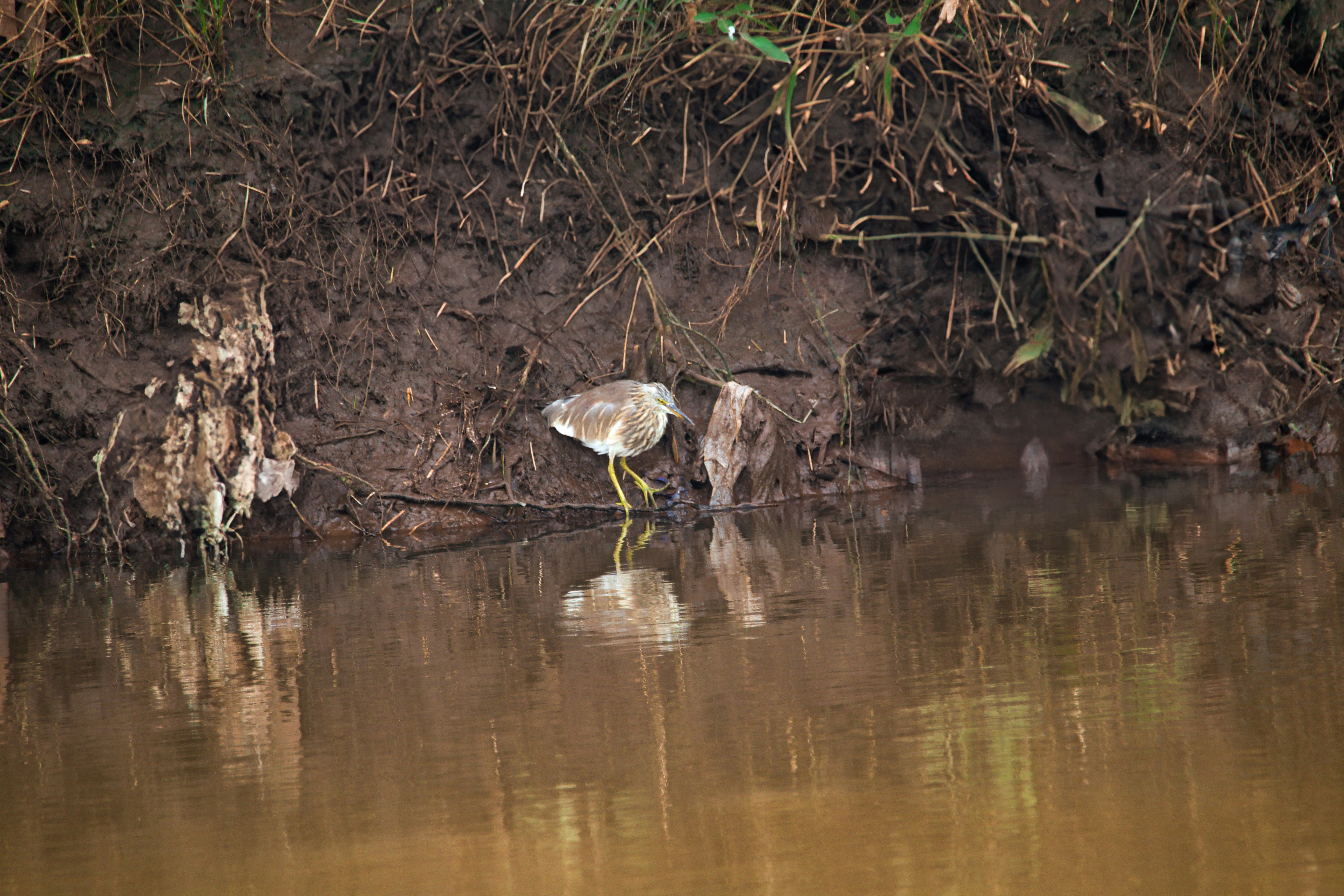 Photo by pushpak_art