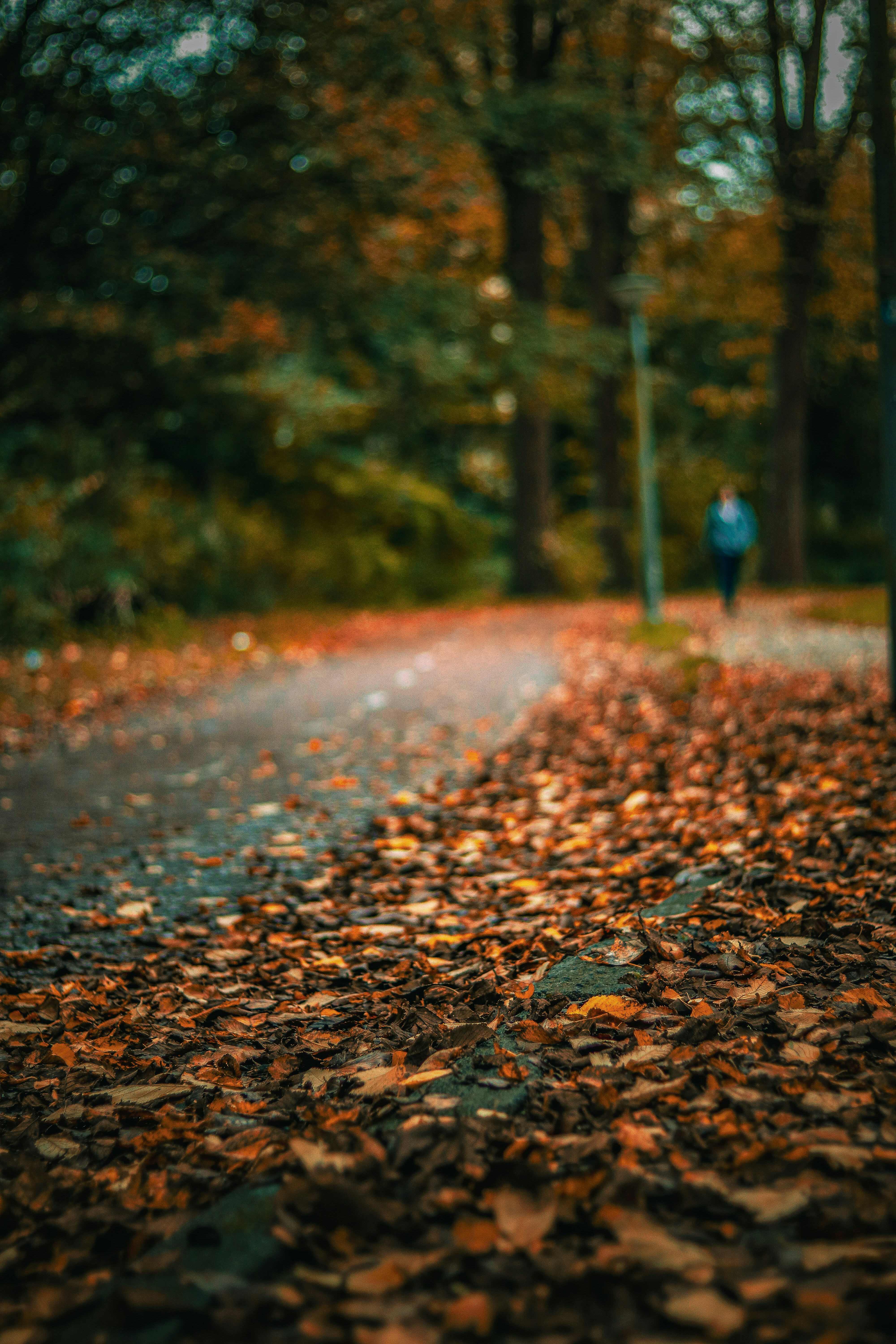 Photo by burakakmanoglu