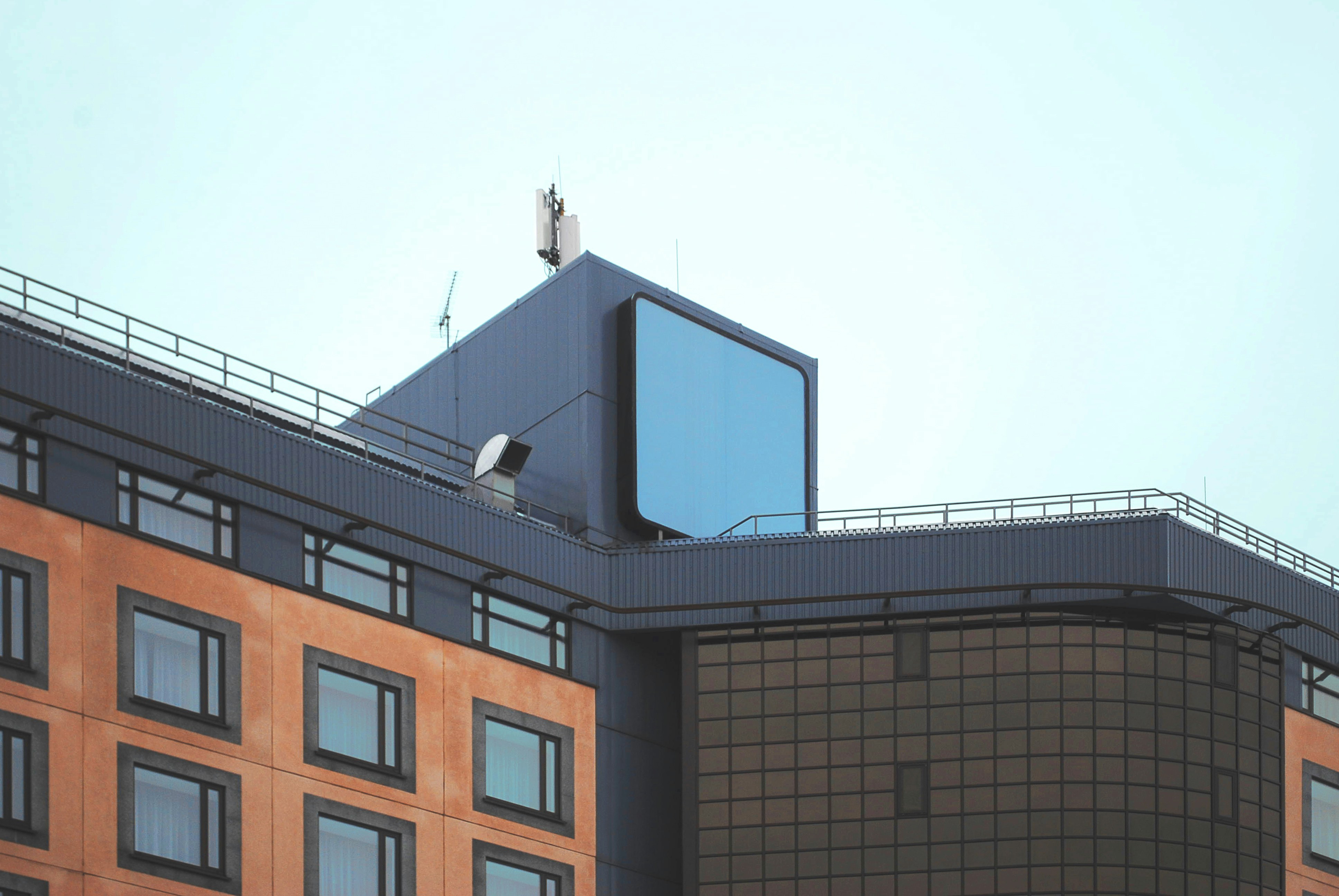 鳥が乗った高層ビル