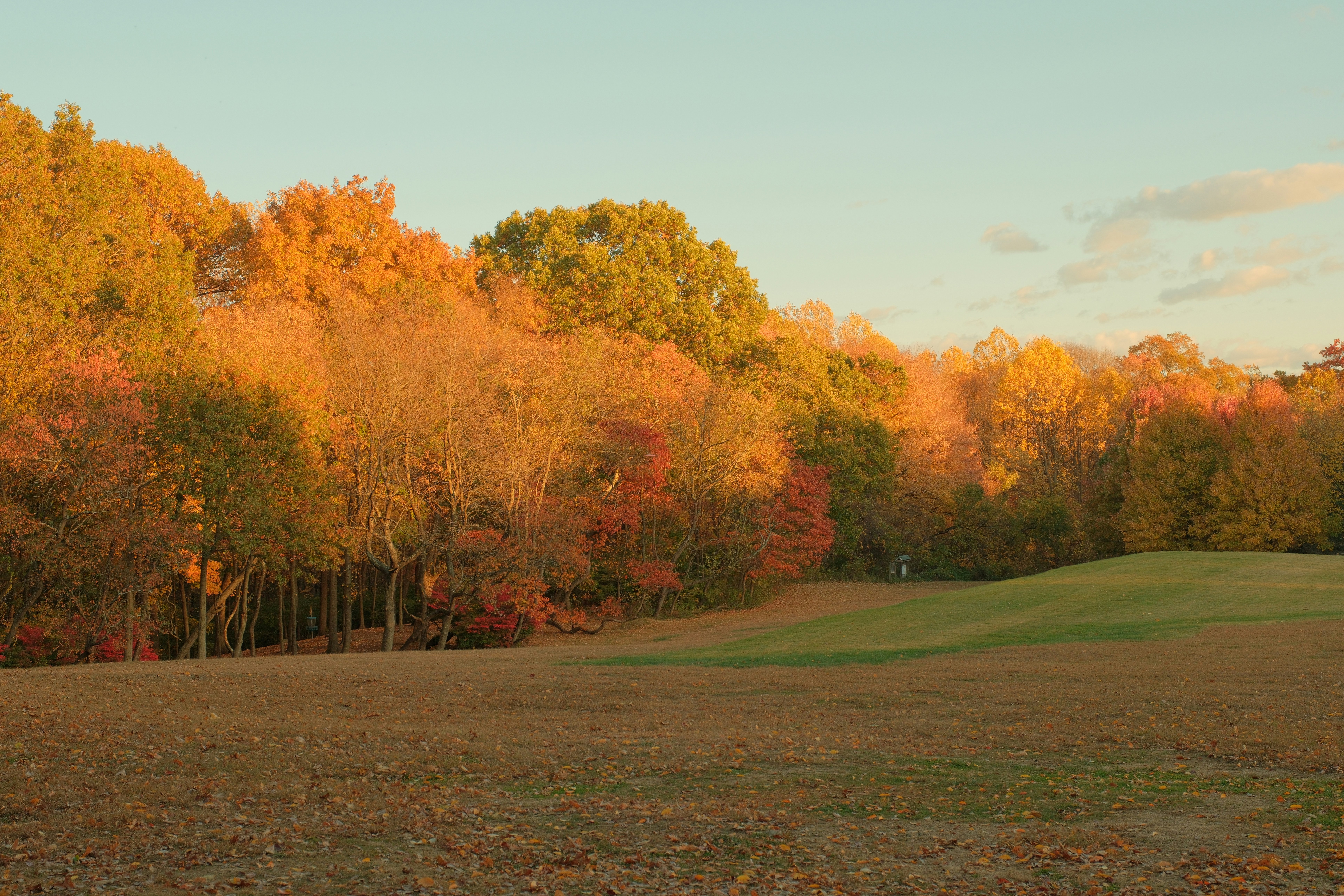 Photo by jonathansaleh