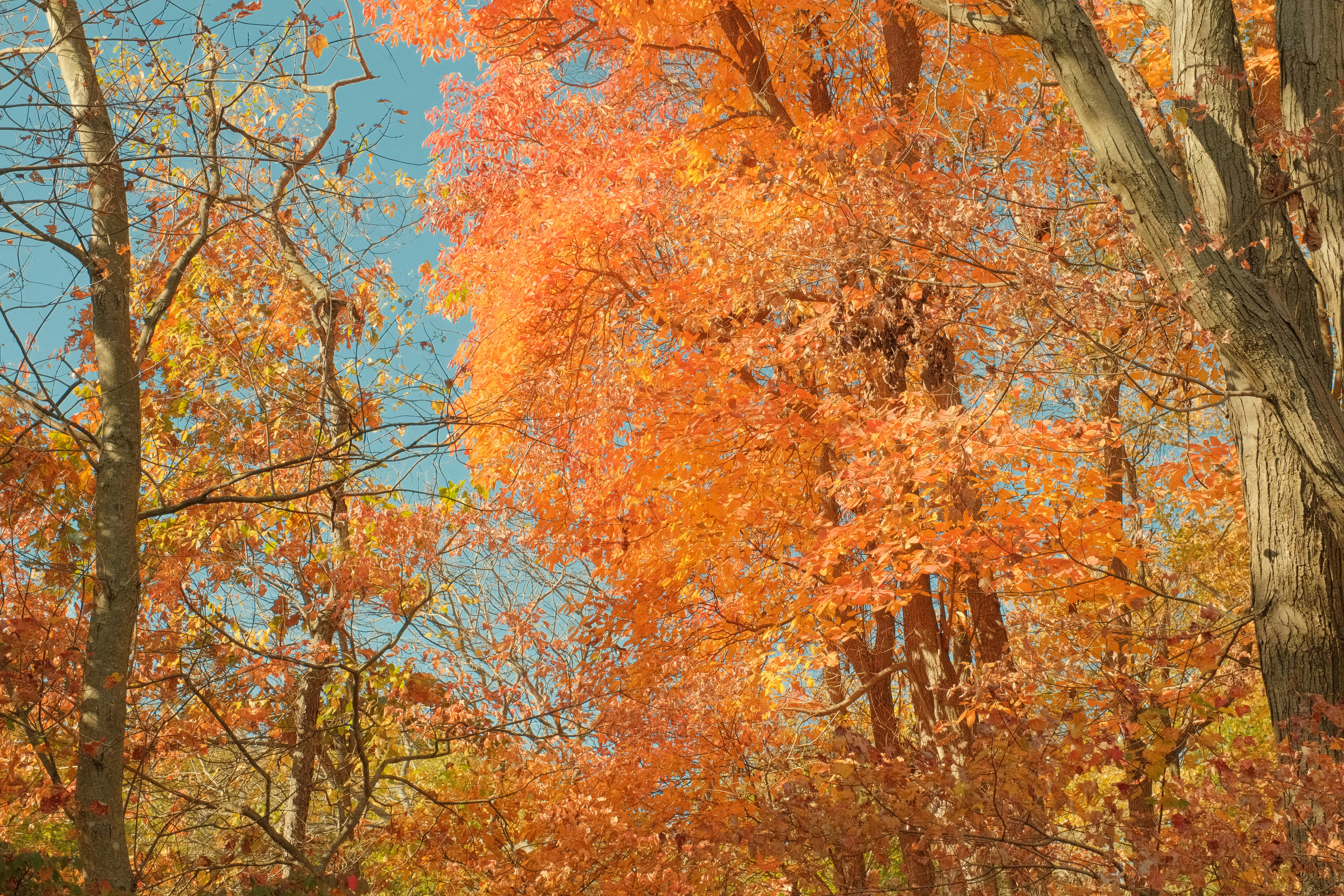 Photo by jonathansaleh