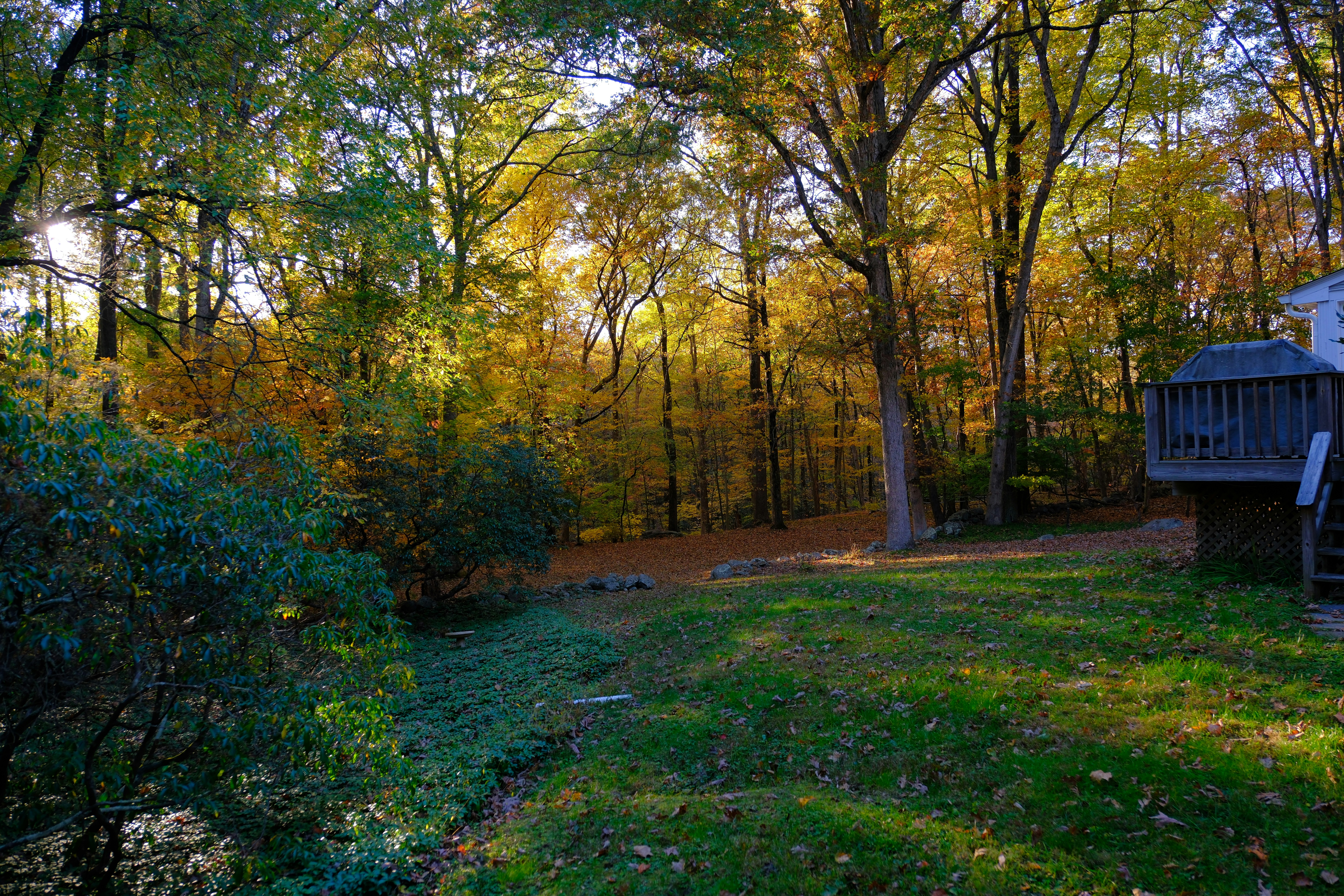 Photo by jonathansaleh