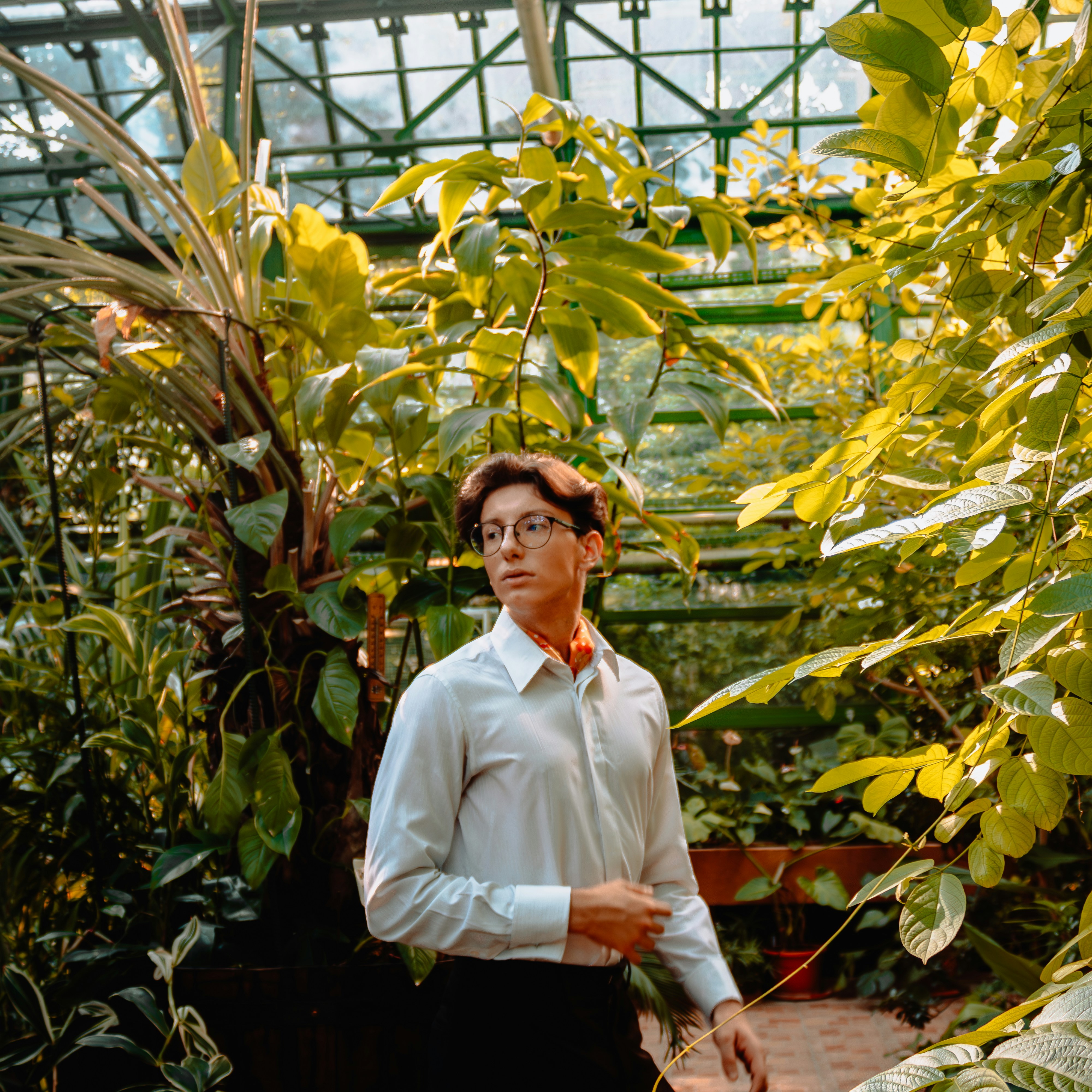 man portrait plants home