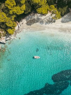 An aerial view of a boat in the water