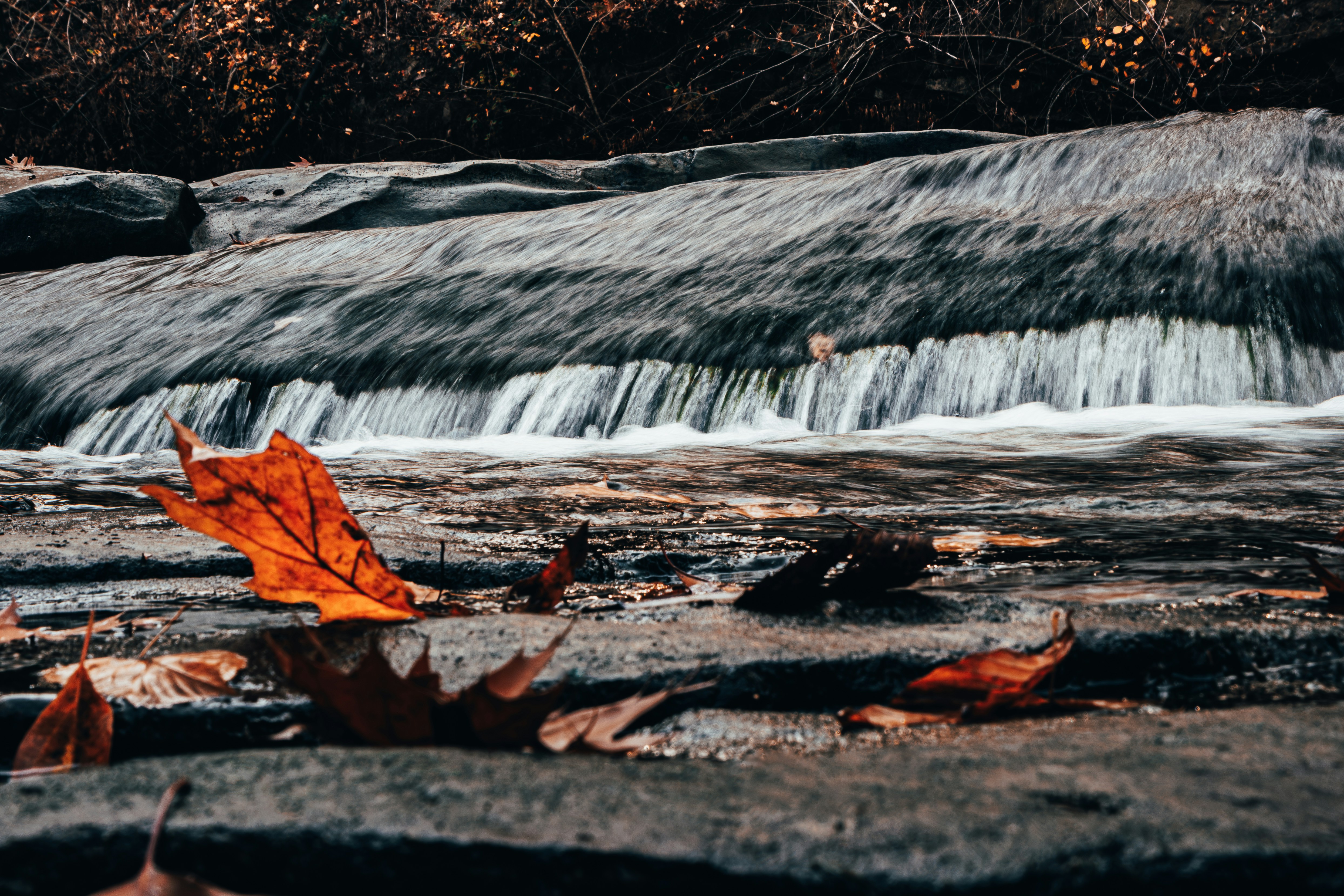 Photo by brice_cooper18