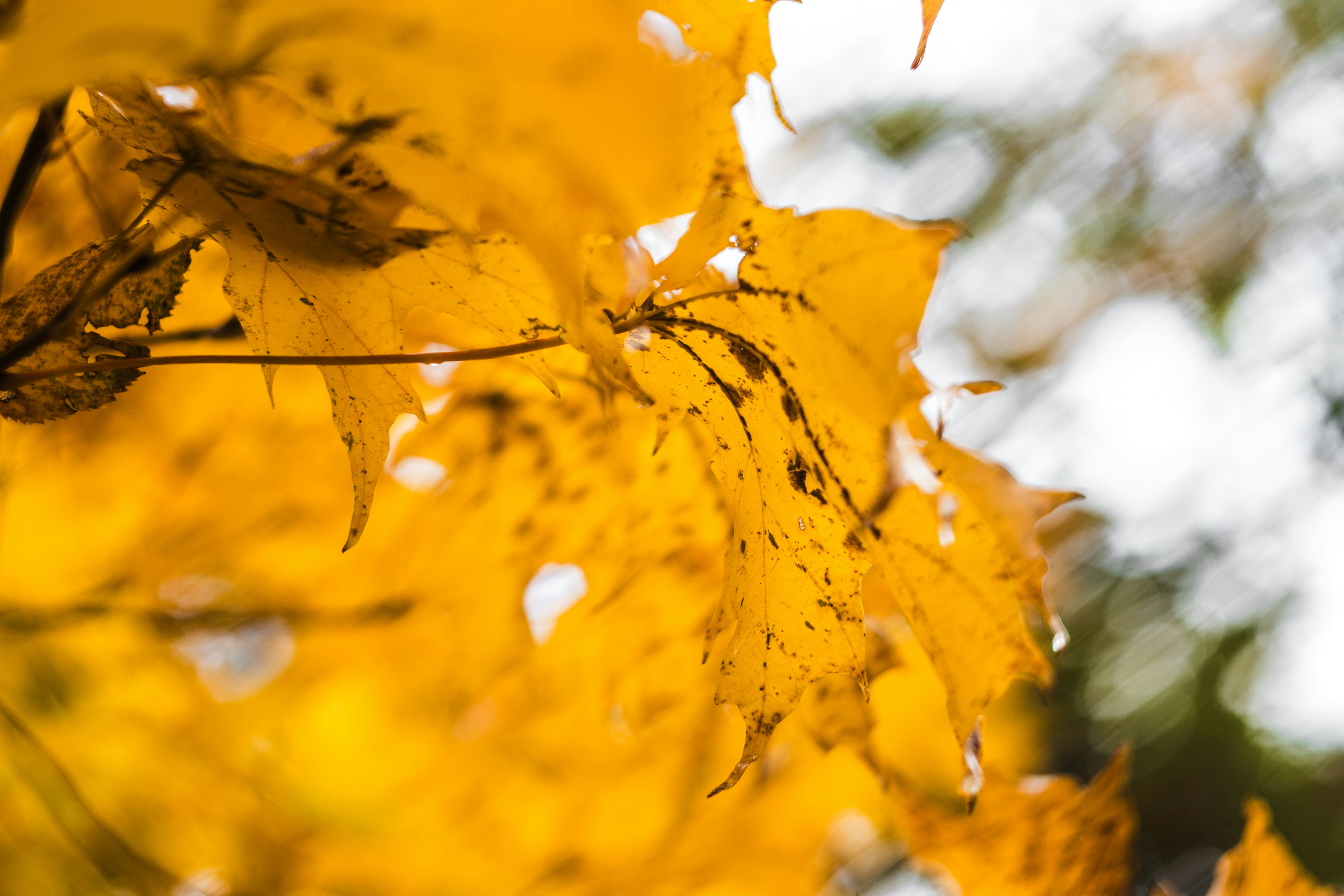 Photo by brice_cooper18