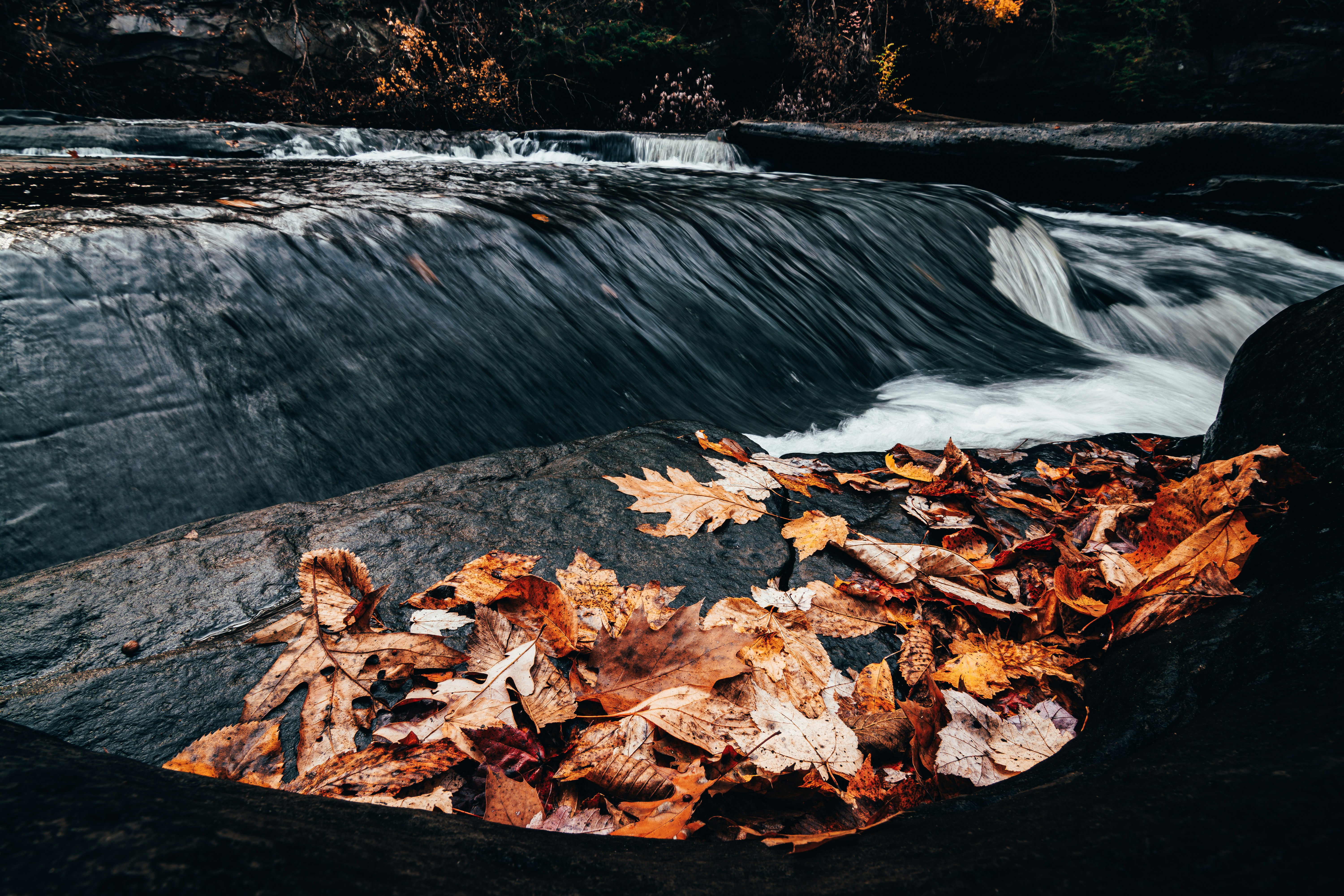 Photo by brice_cooper18