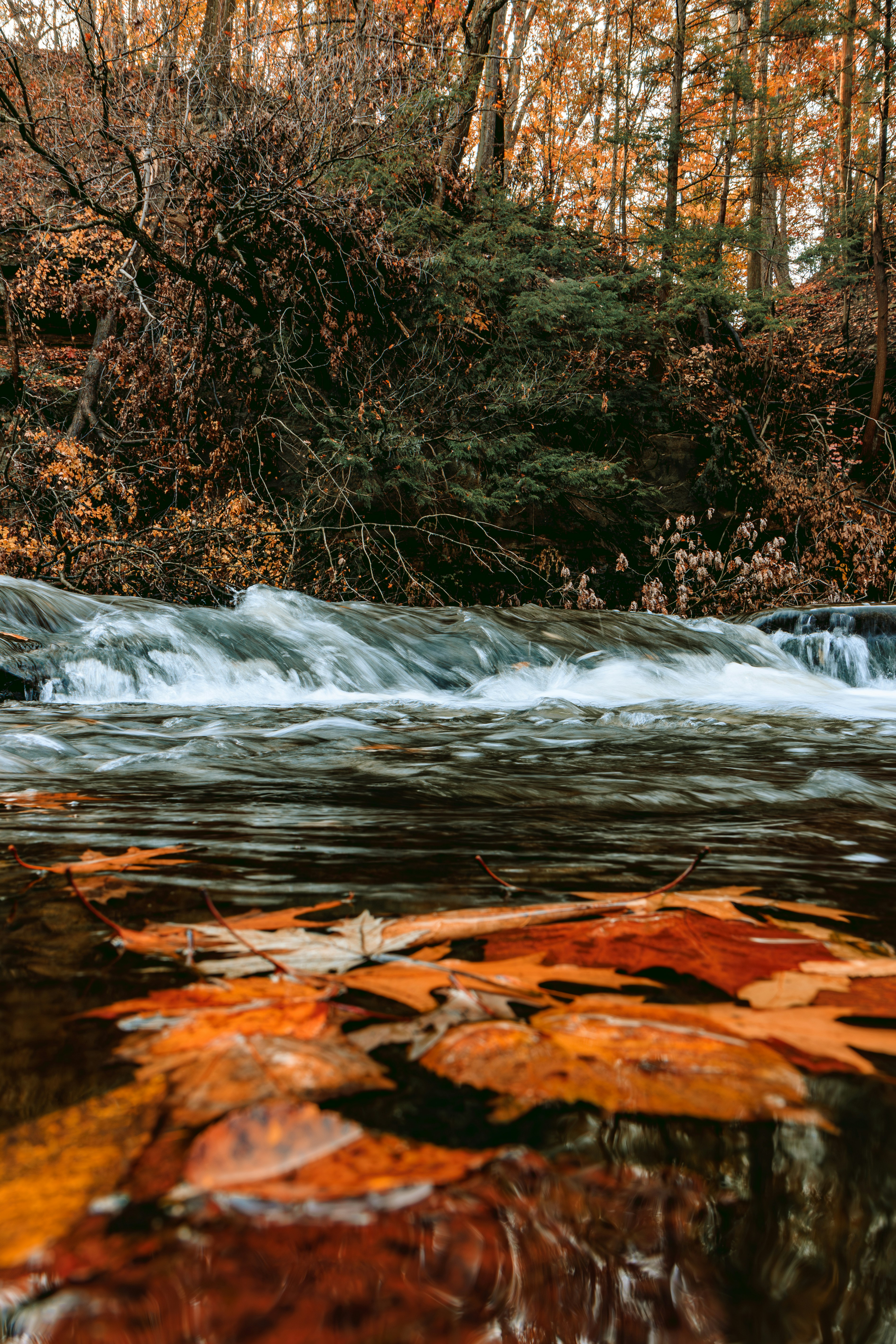 Photo by brice_cooper18