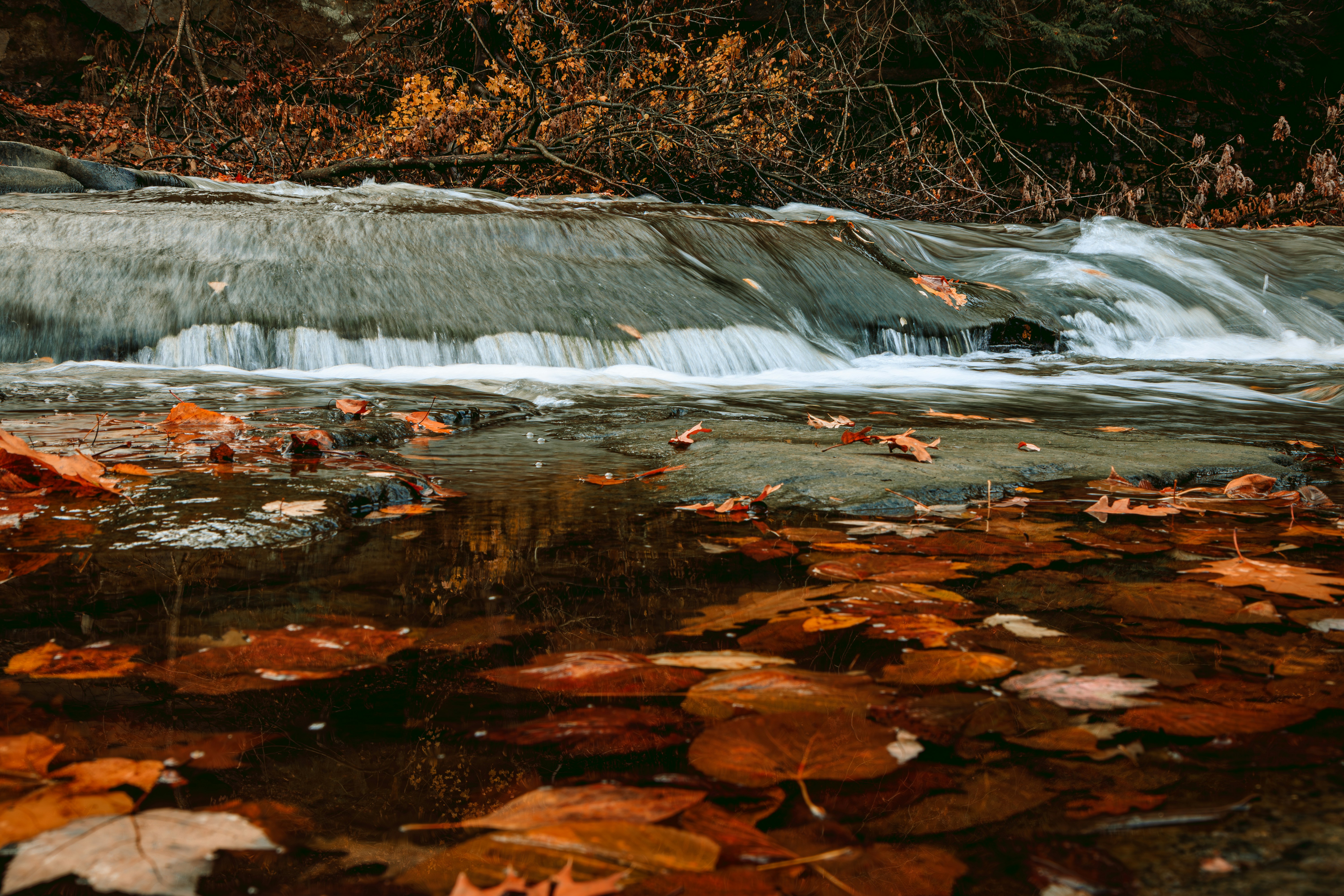 Photo by brice_cooper18