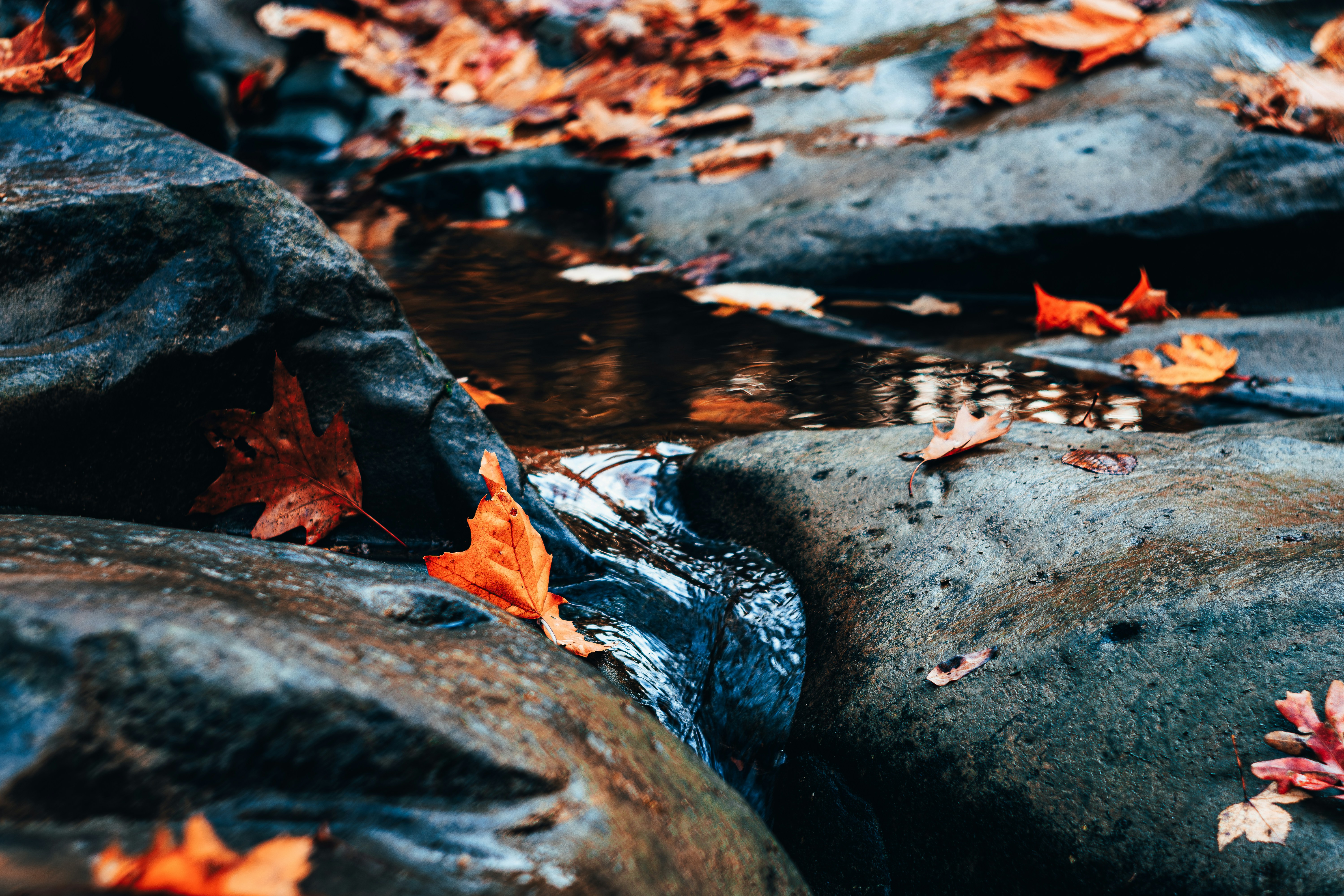 Photo by brice_cooper18