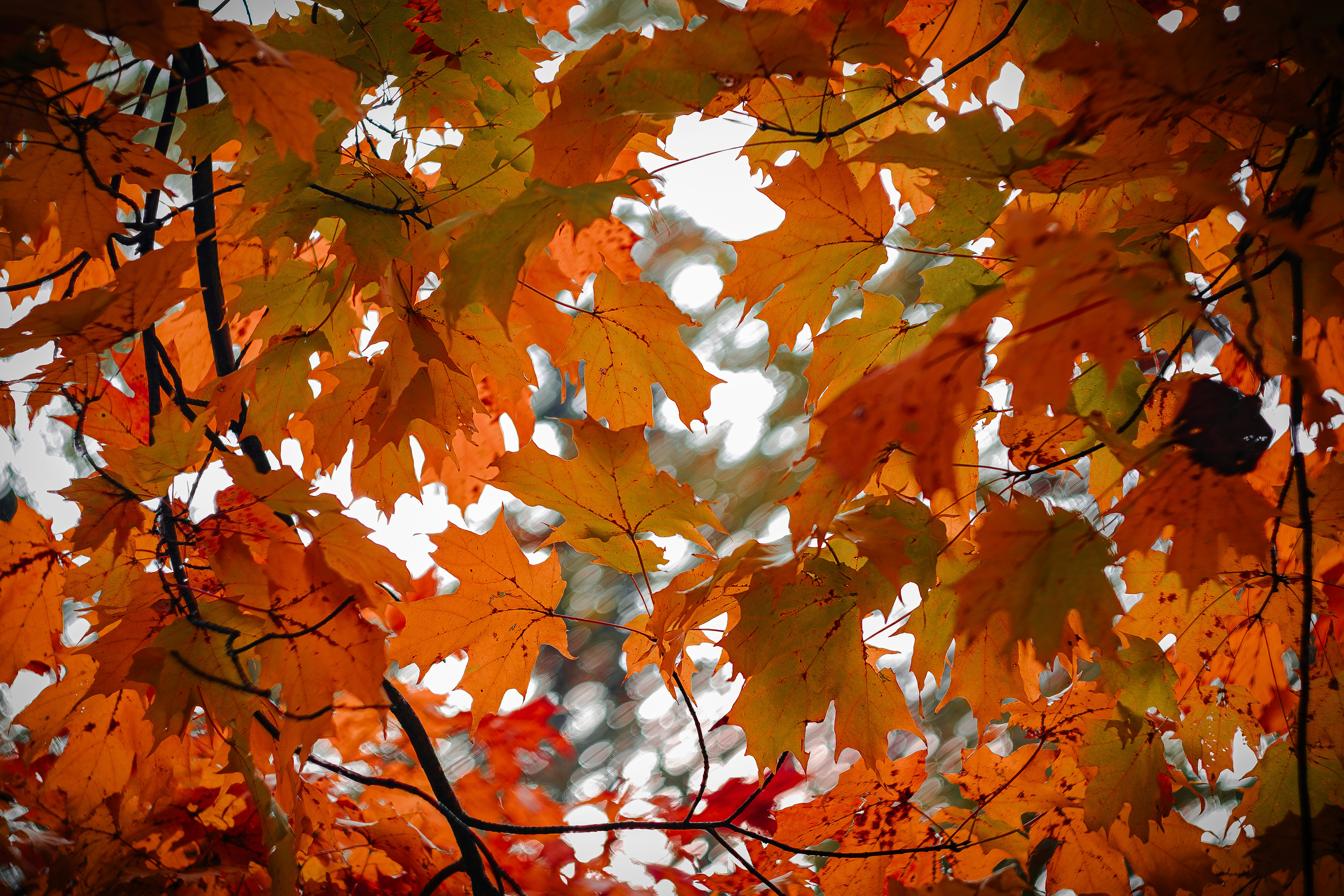 Photo by brice_cooper18