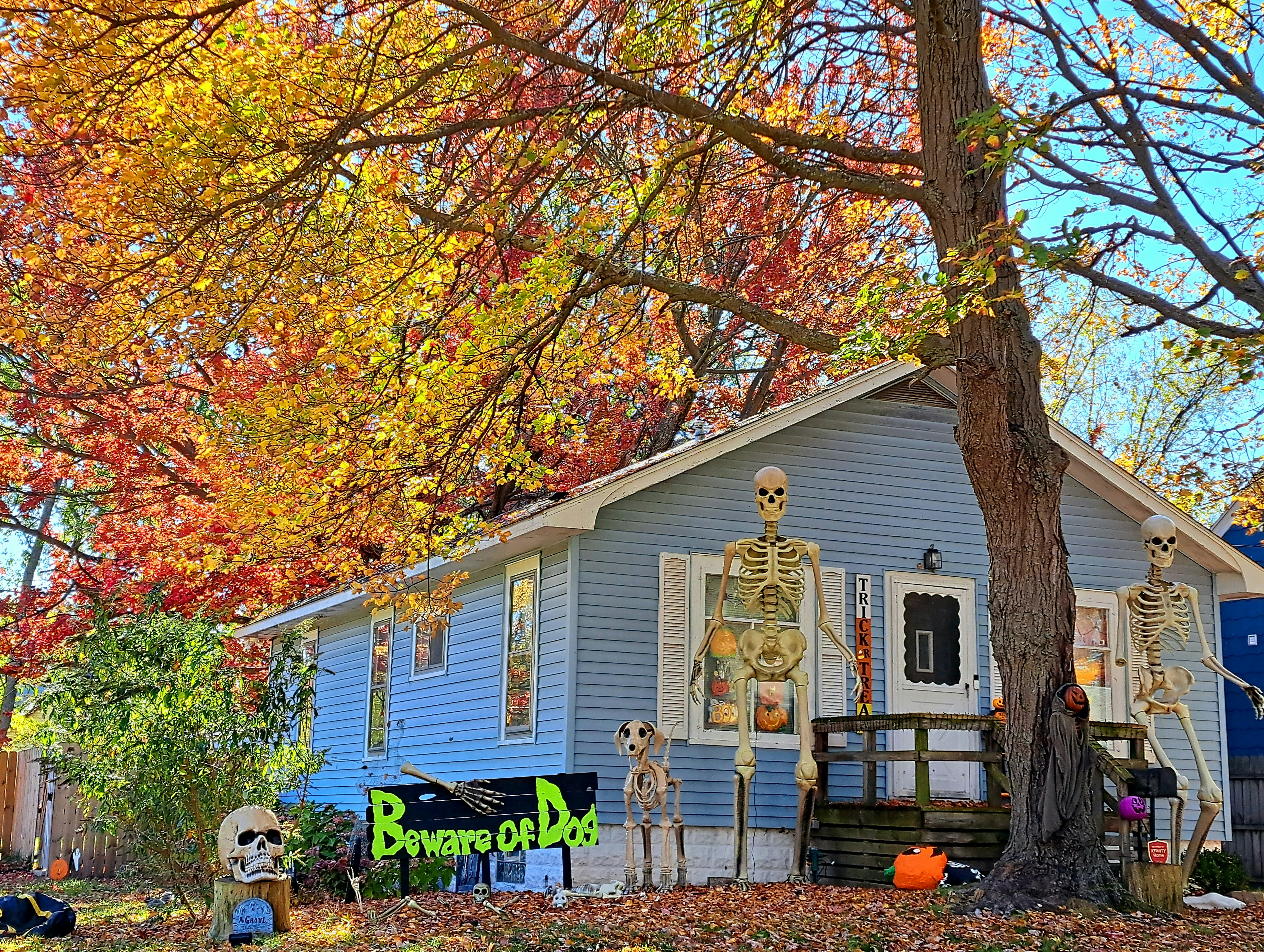 Photo by 41momentintime