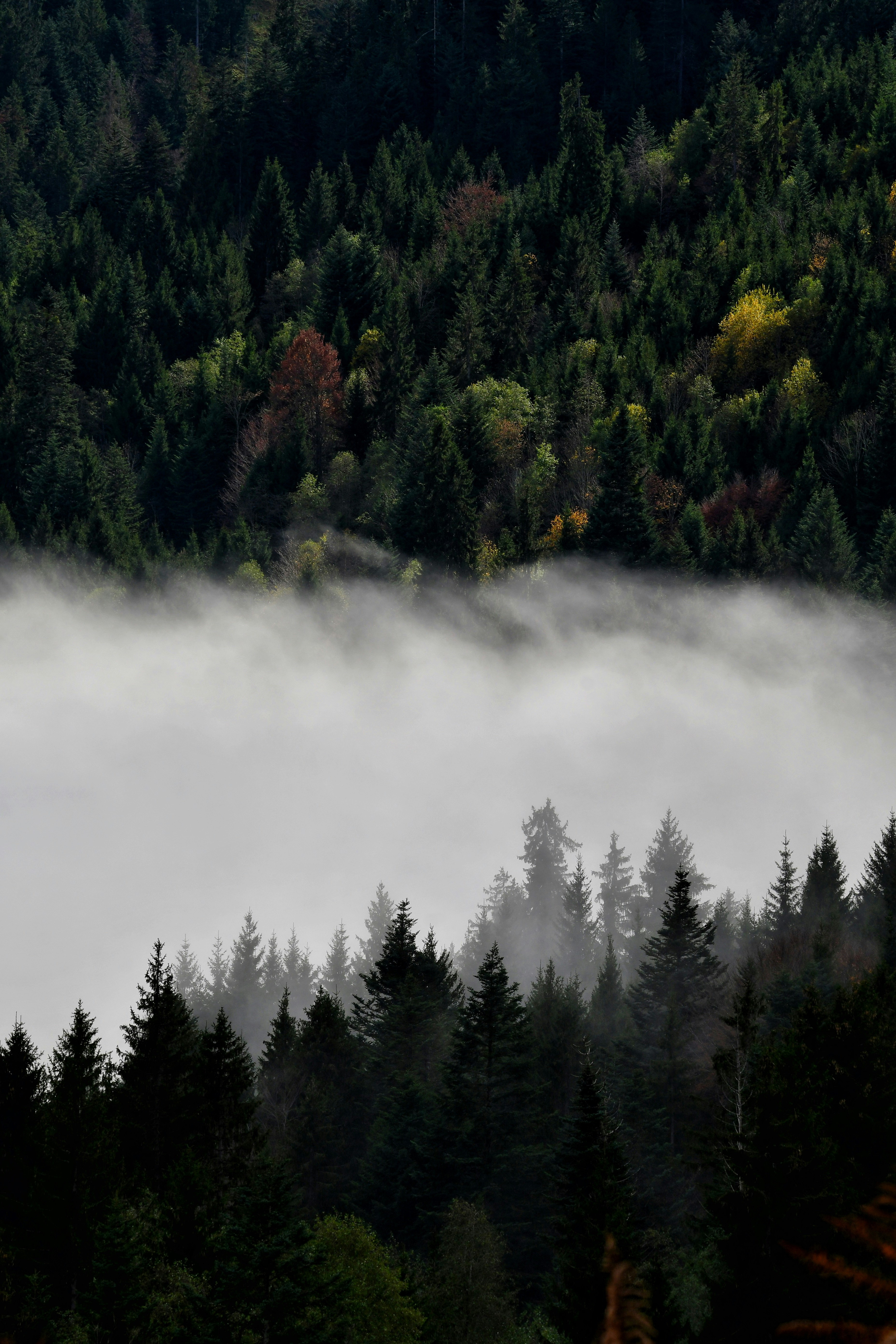 Photo by pedrino5_official