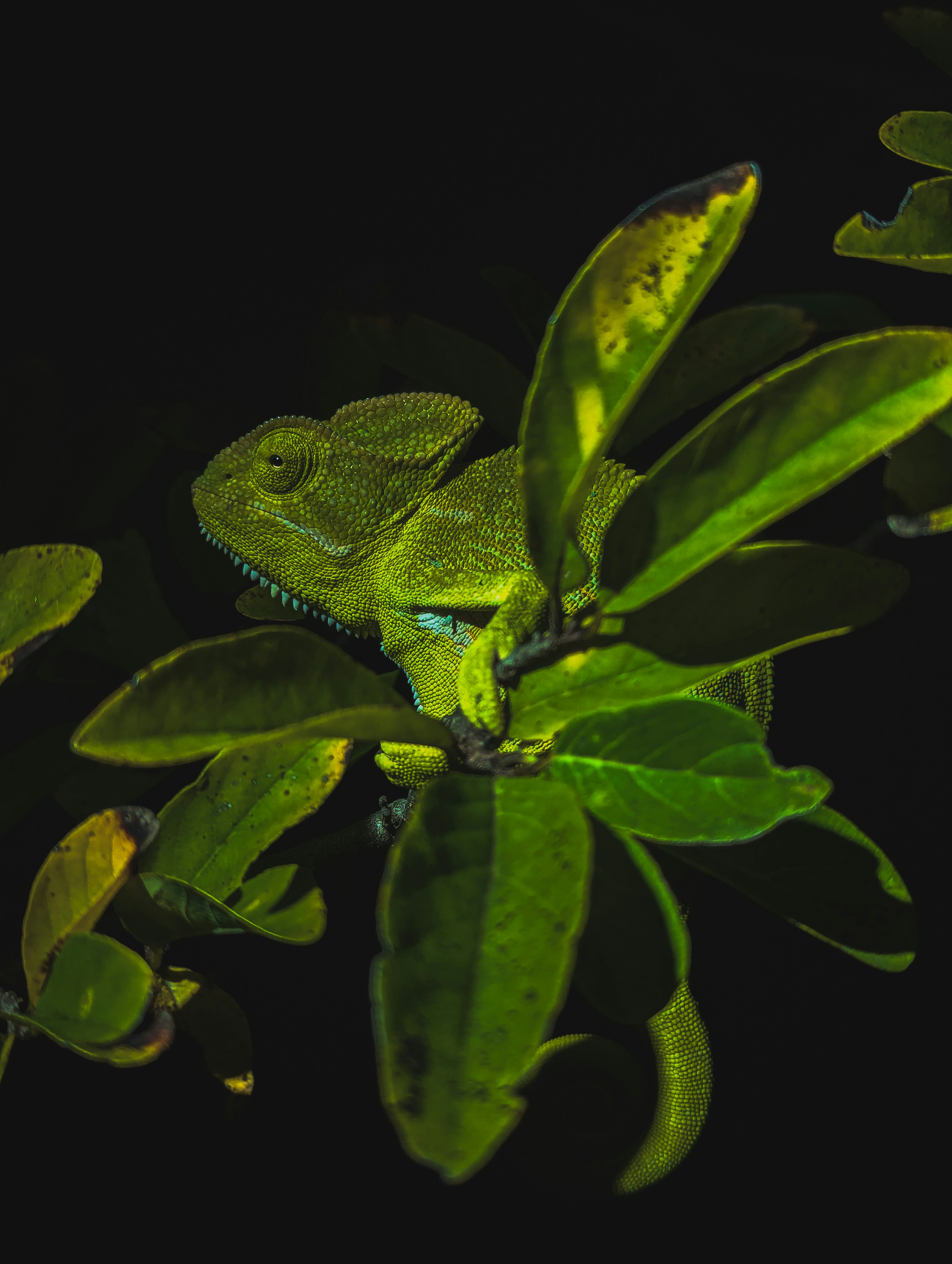 Photo by vikramaditya