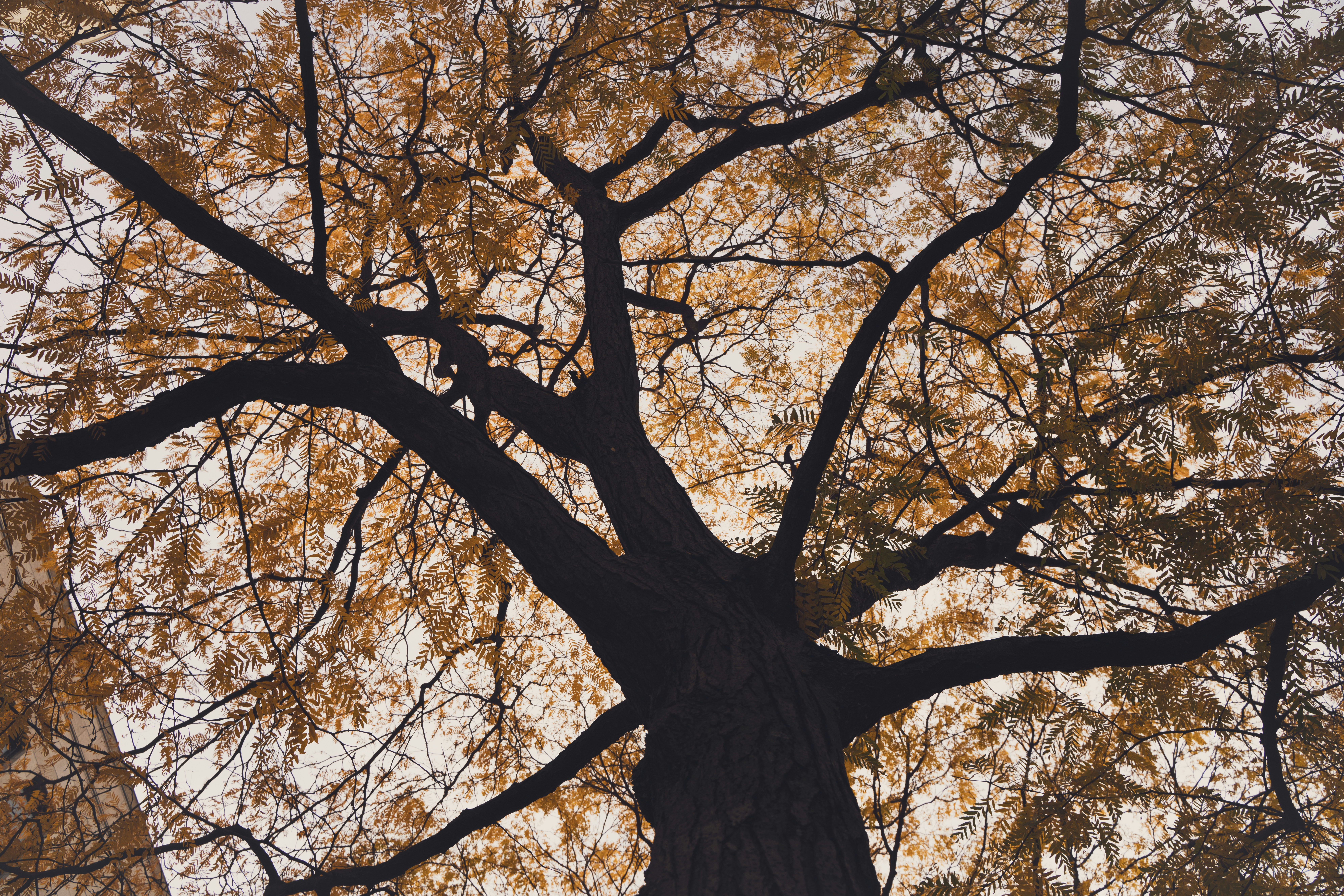 Photo by superxcalvin